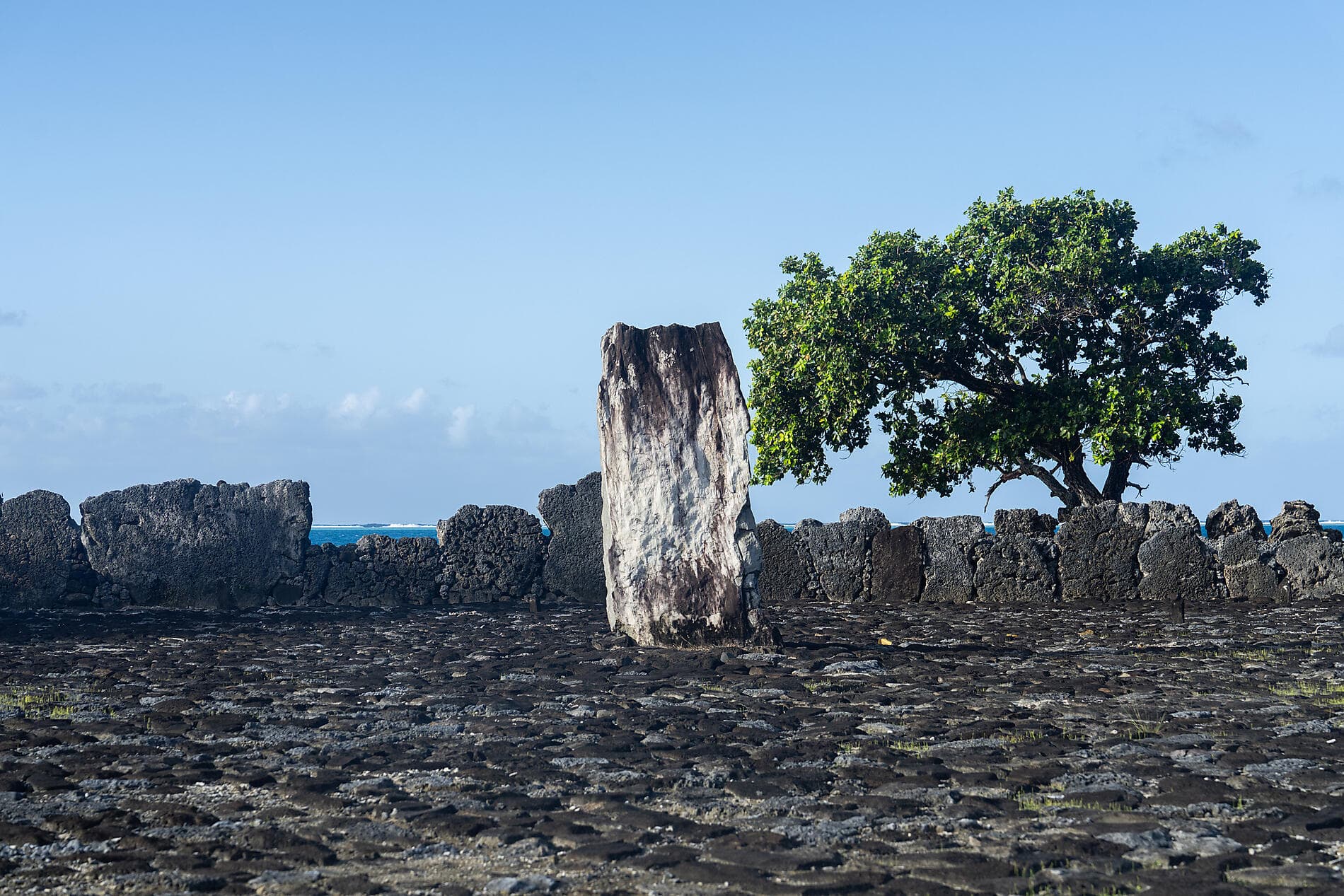 Perlen der Gesellschaftsinseln 