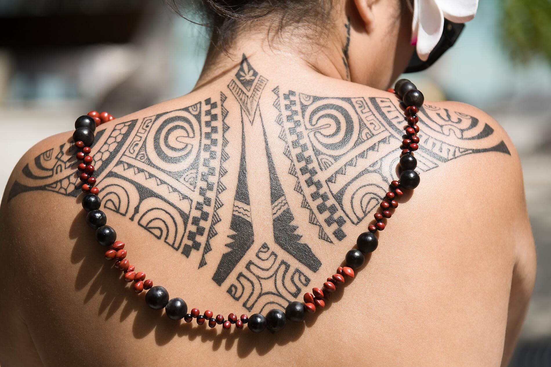 Cook- und Gesellschaftsinseln 