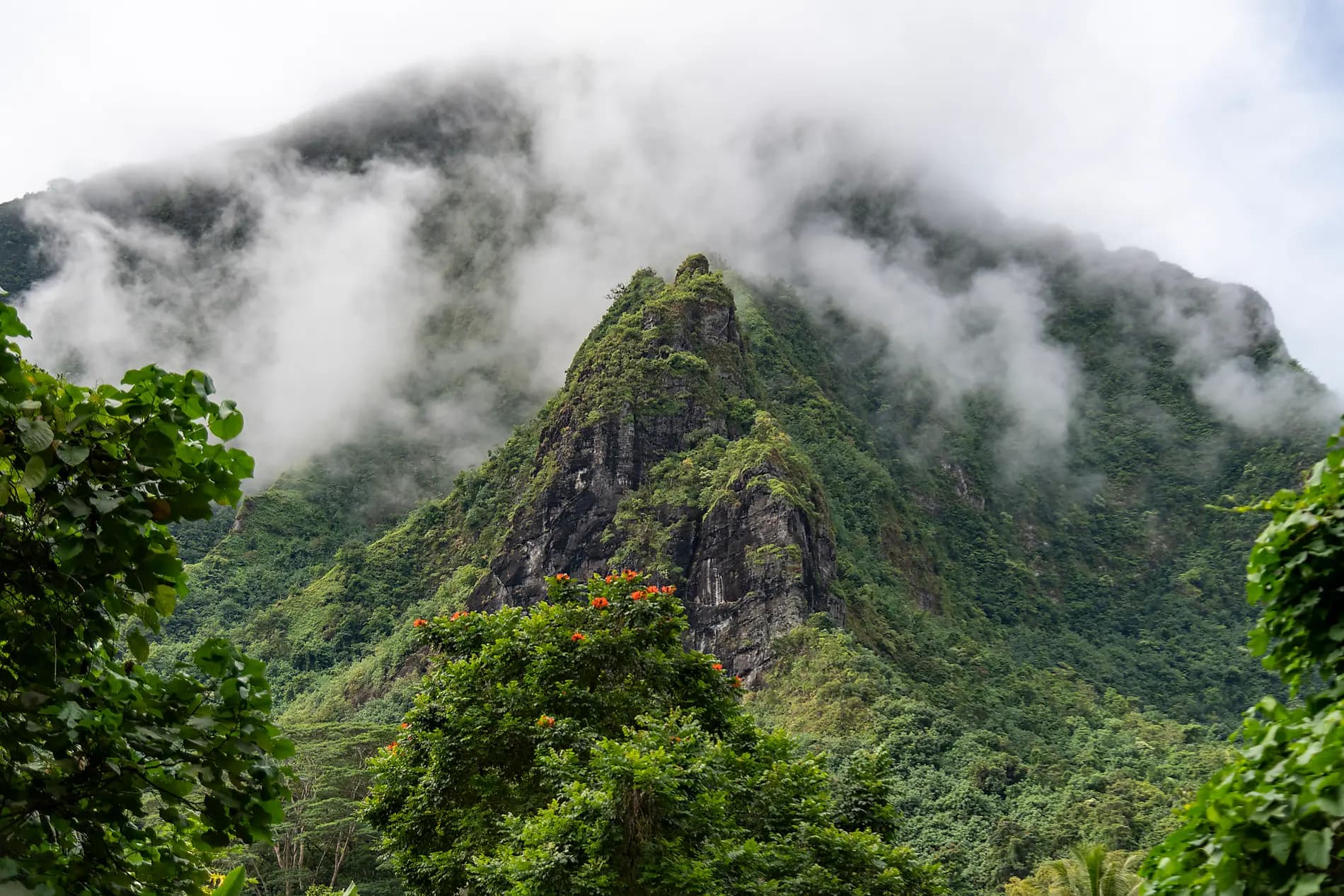 Cook- und Gesellschaftsinseln 