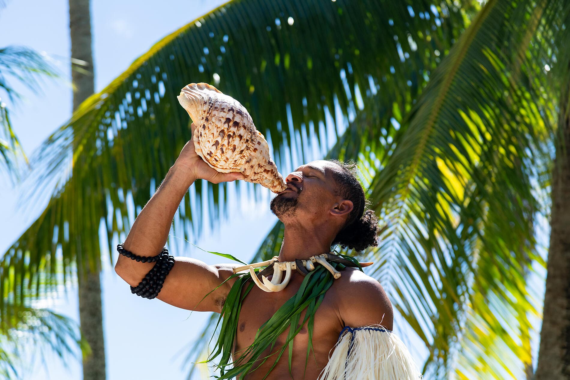 Cook- und Gesellschaftsinseln 