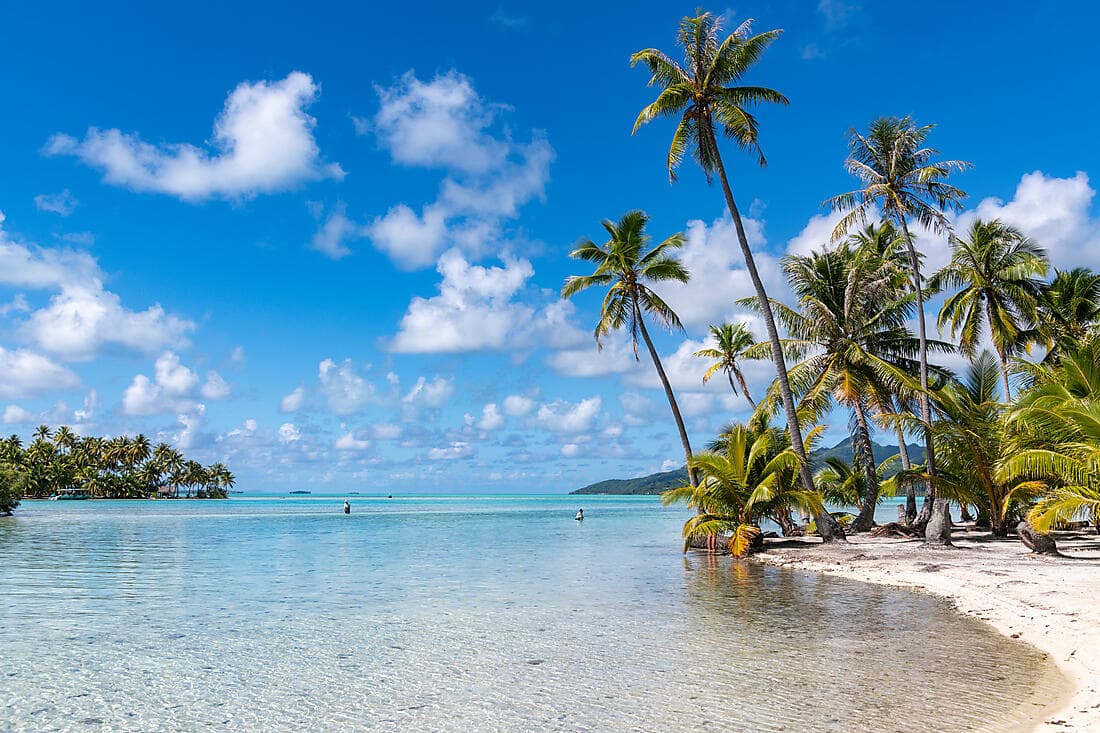 Marquesas, Tuamotu und Gesellschaftsinseln