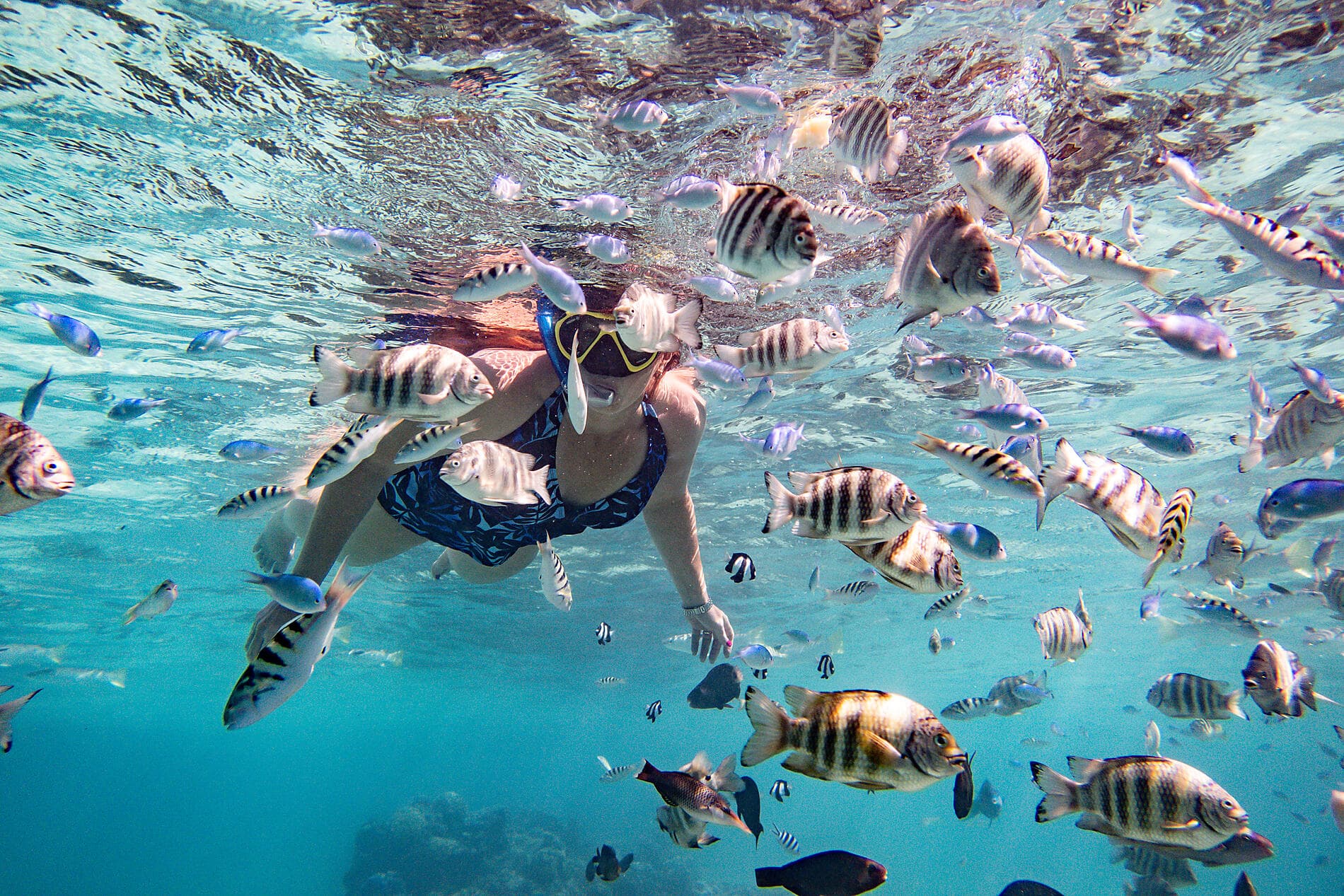 Tahiti und die Gesellschaftsinseln  