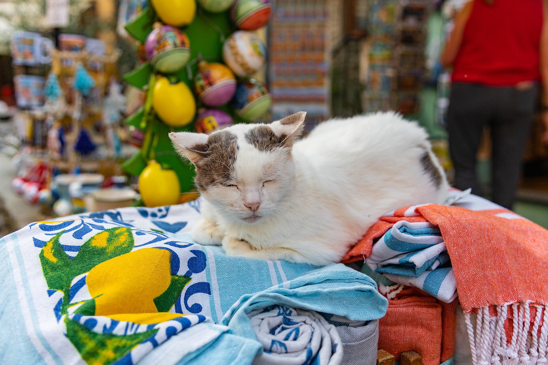 Die diskreten Juwelen des westlichen Mittelmeers 