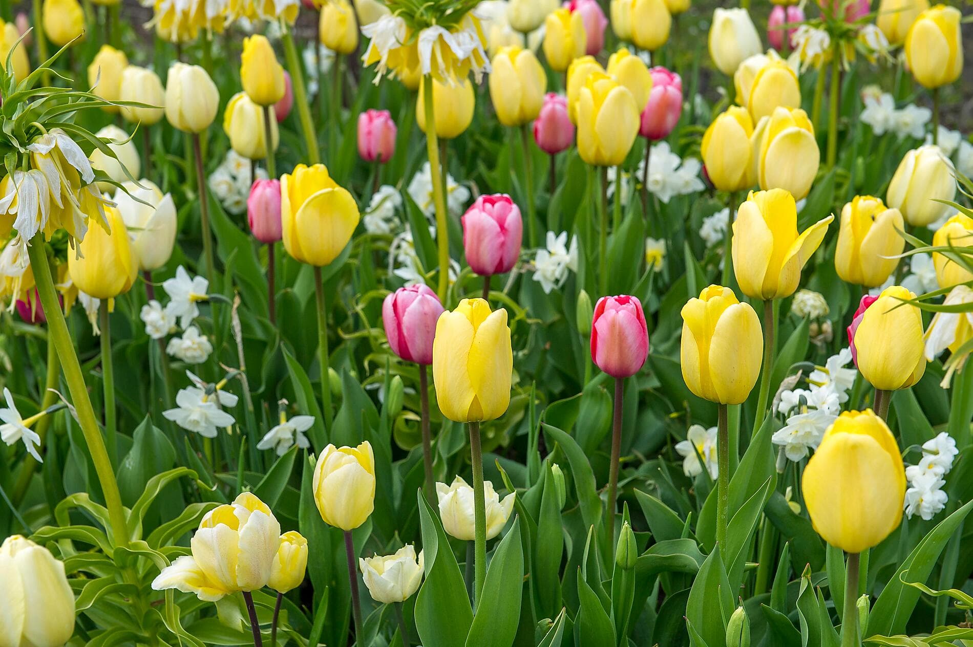 Hauptstädte und berühmte Städte der Ostsee 