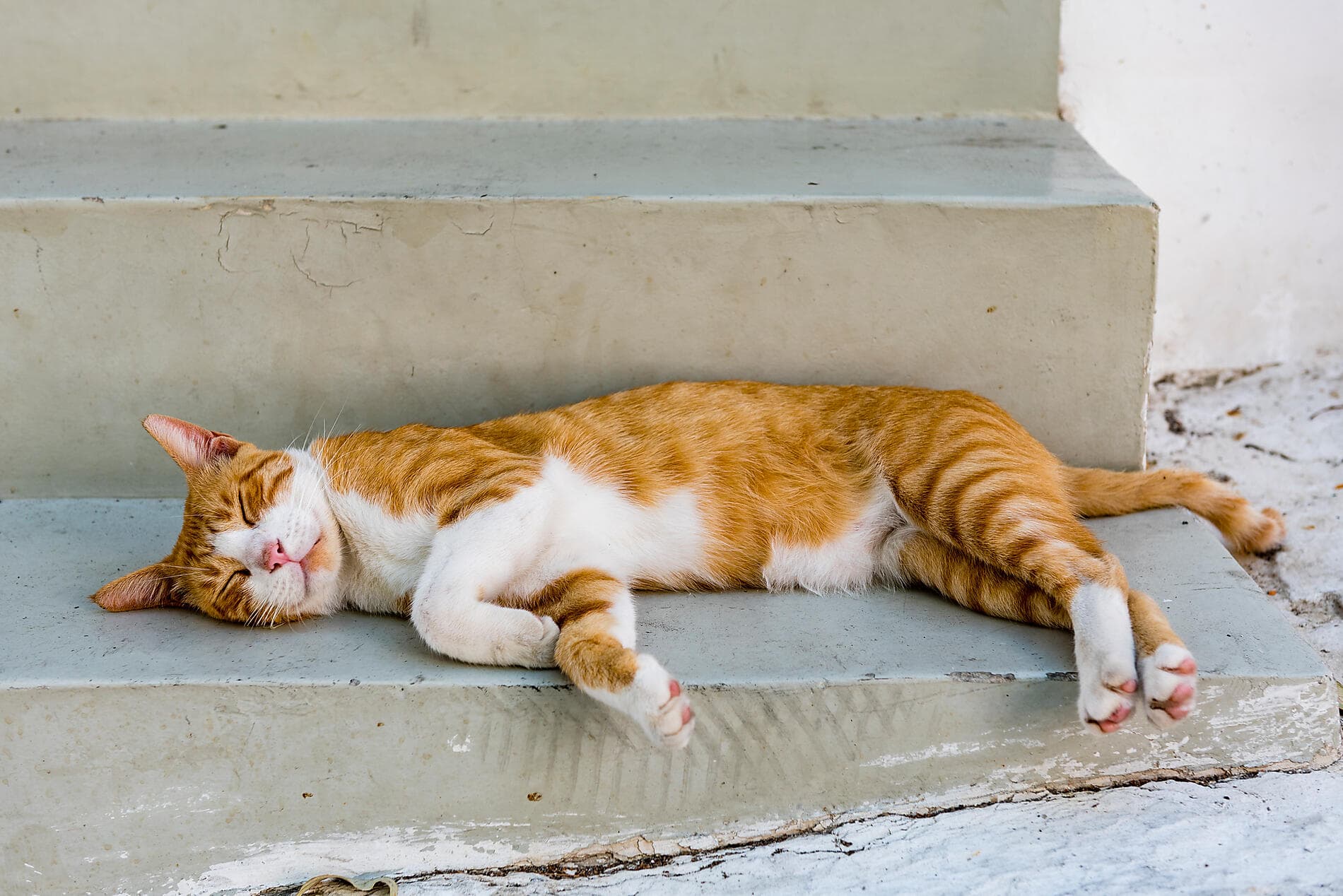 Mediterranes Flanieren  