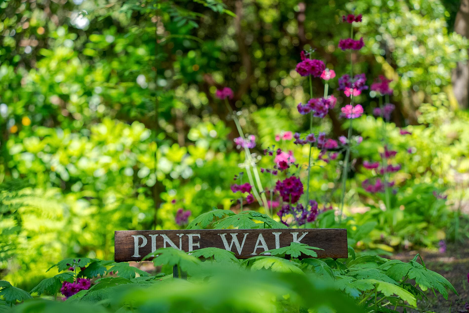 Hebriden und Highlands – das Land der Legenden 