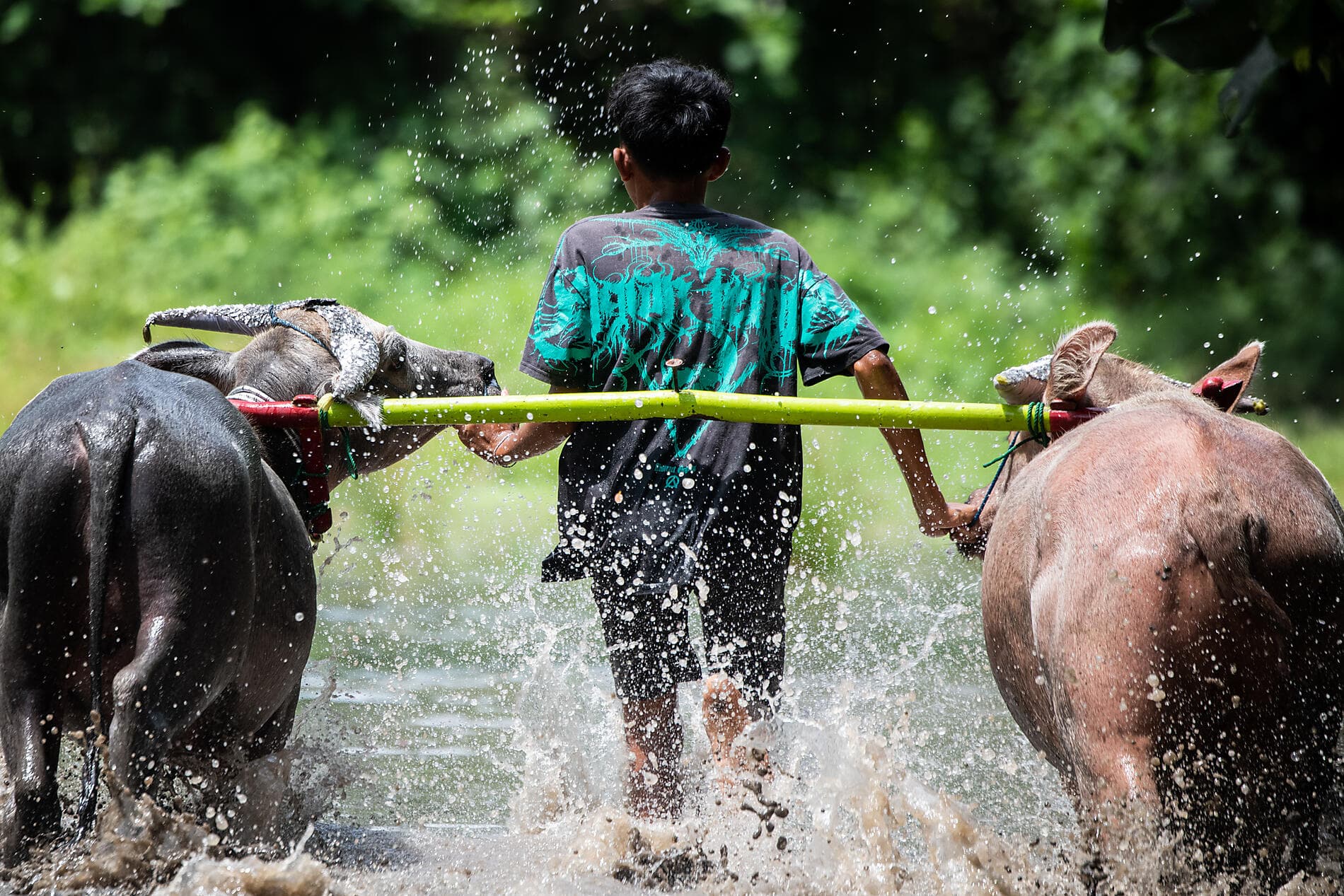 Die wilden Landschaften Indonesiens 