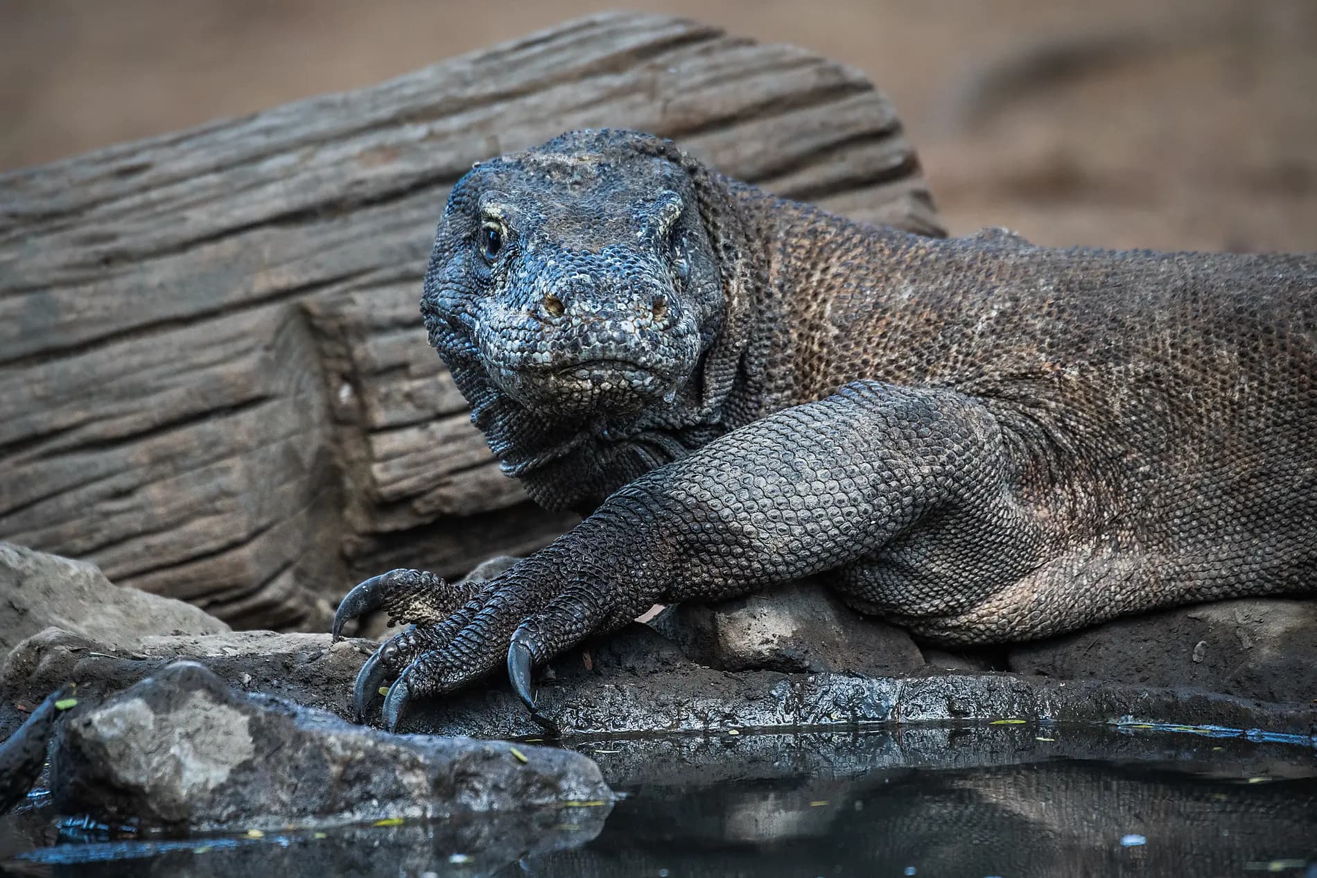 Die wilden Landschaften Indonesiens 