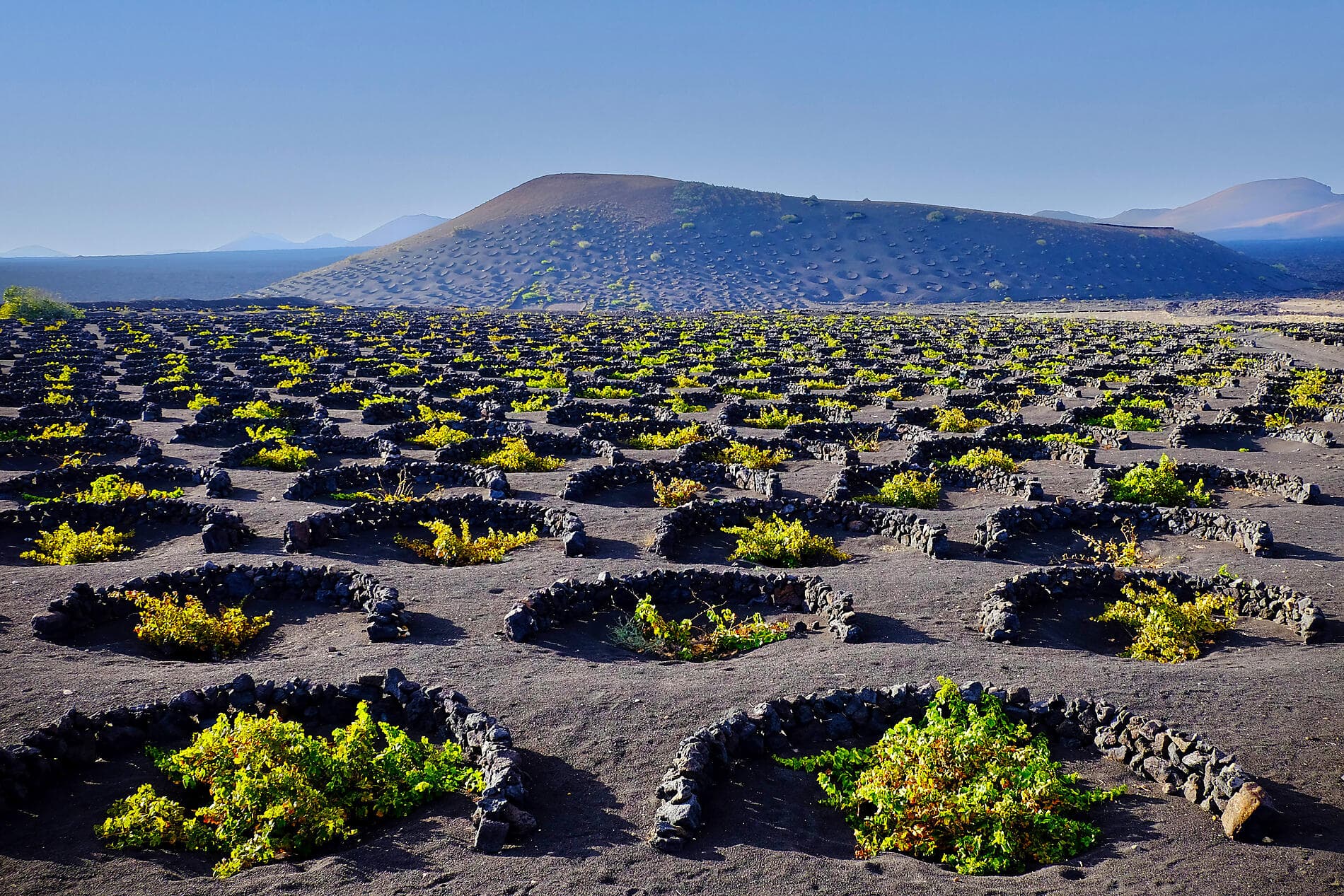 Kanarische Inseln, Marokko und Portugal 