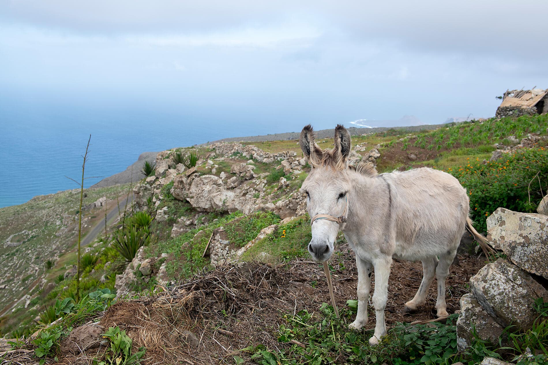 Kanarische Inseln, Marokko und Portugal 
