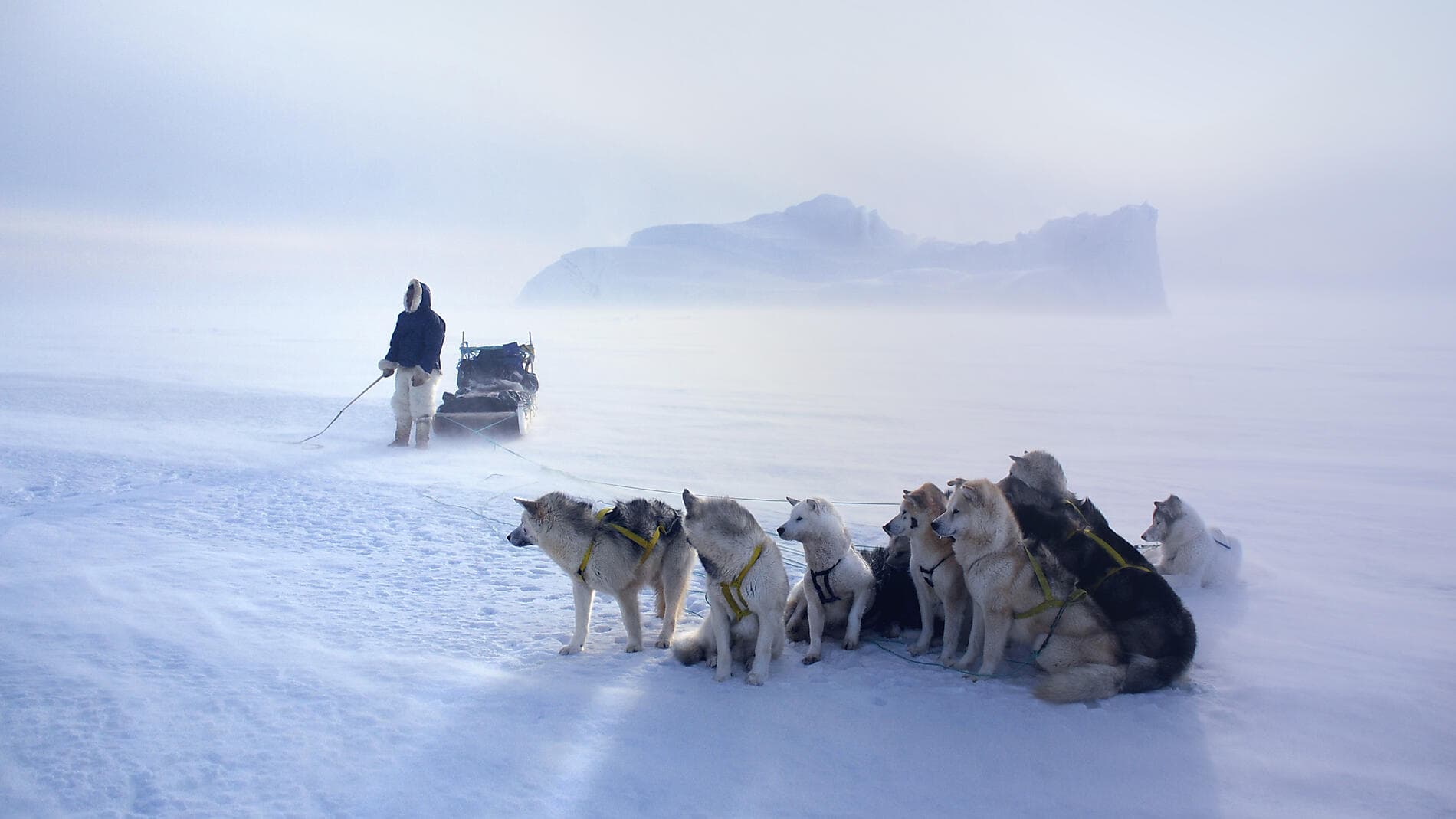 Grönland und die letzten Wächter des Nordpols
