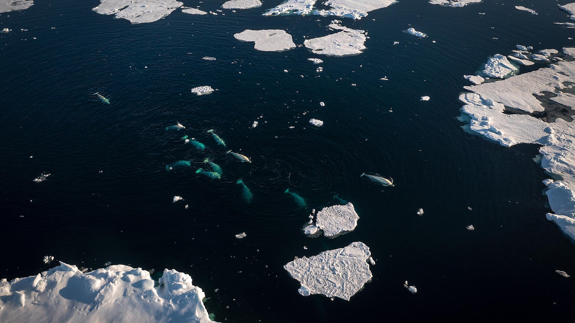 Grönland jenseits des Bekannten