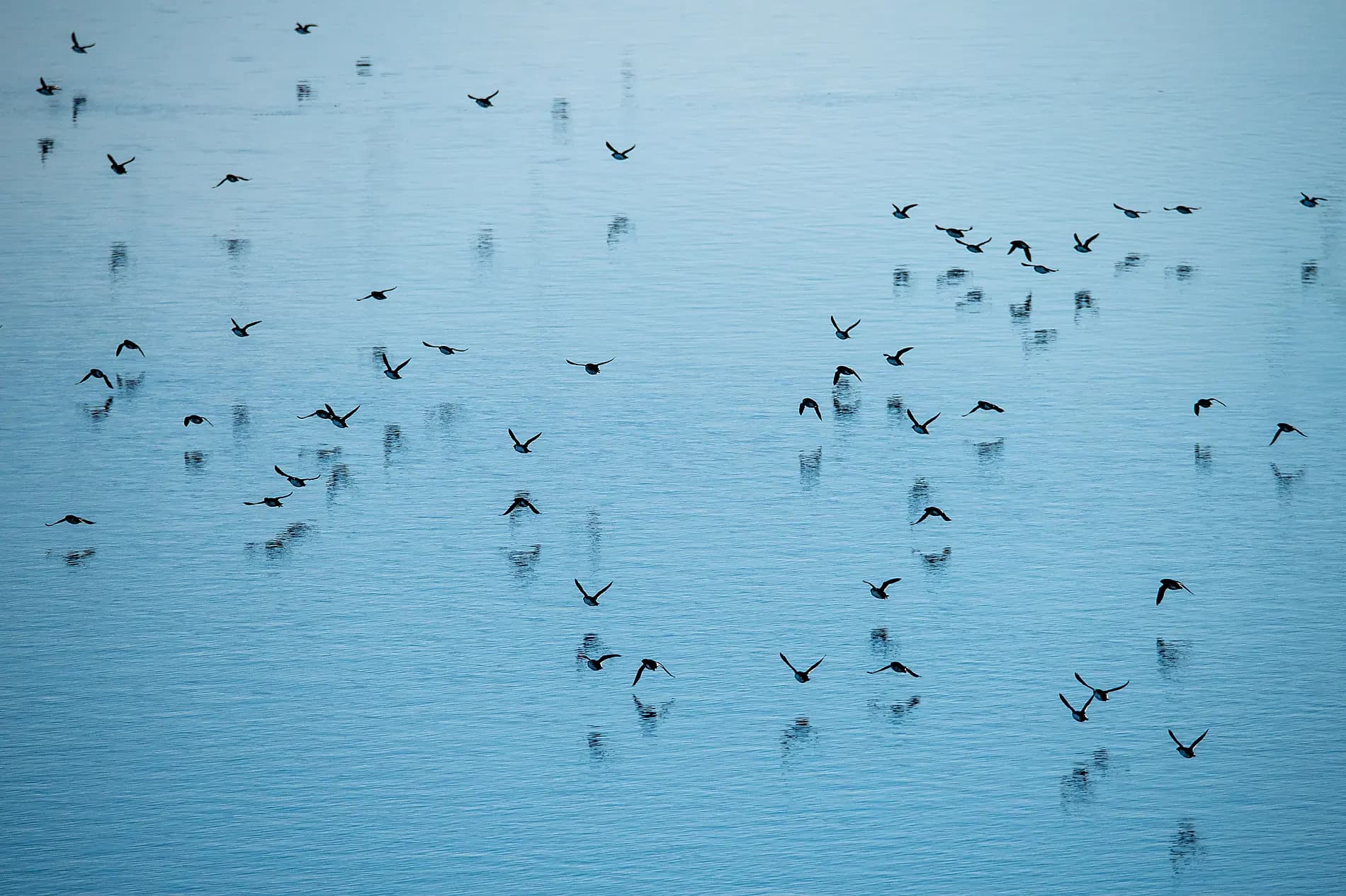 Grönland jenseits des Bekannten 