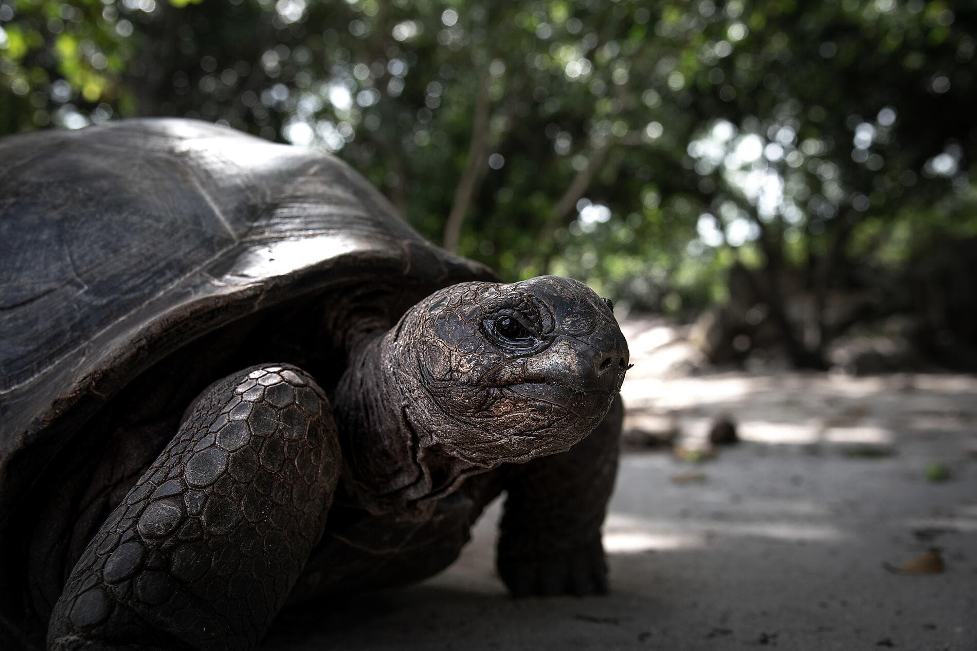 Highlights der Seychellen