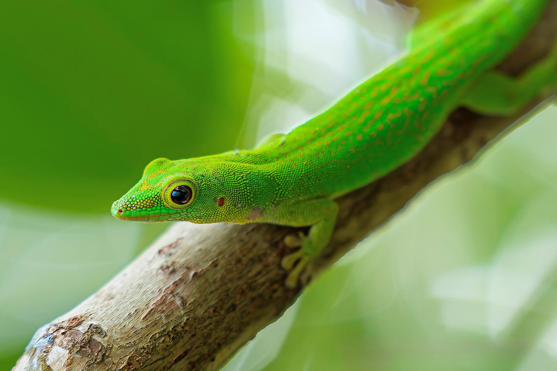 Highlights der Seychellen