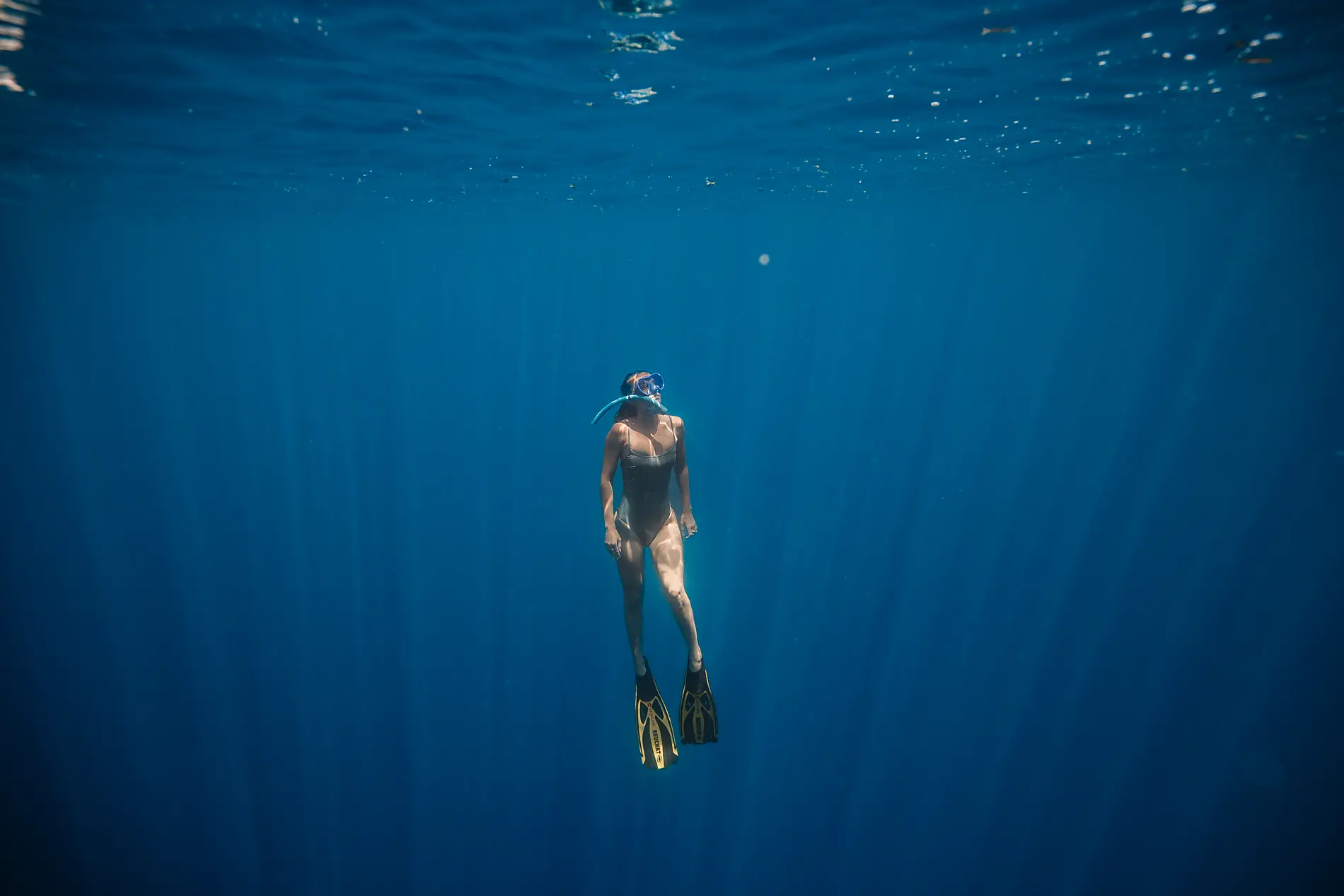 Die Inseln unter dem Winde – Karibik pur 
