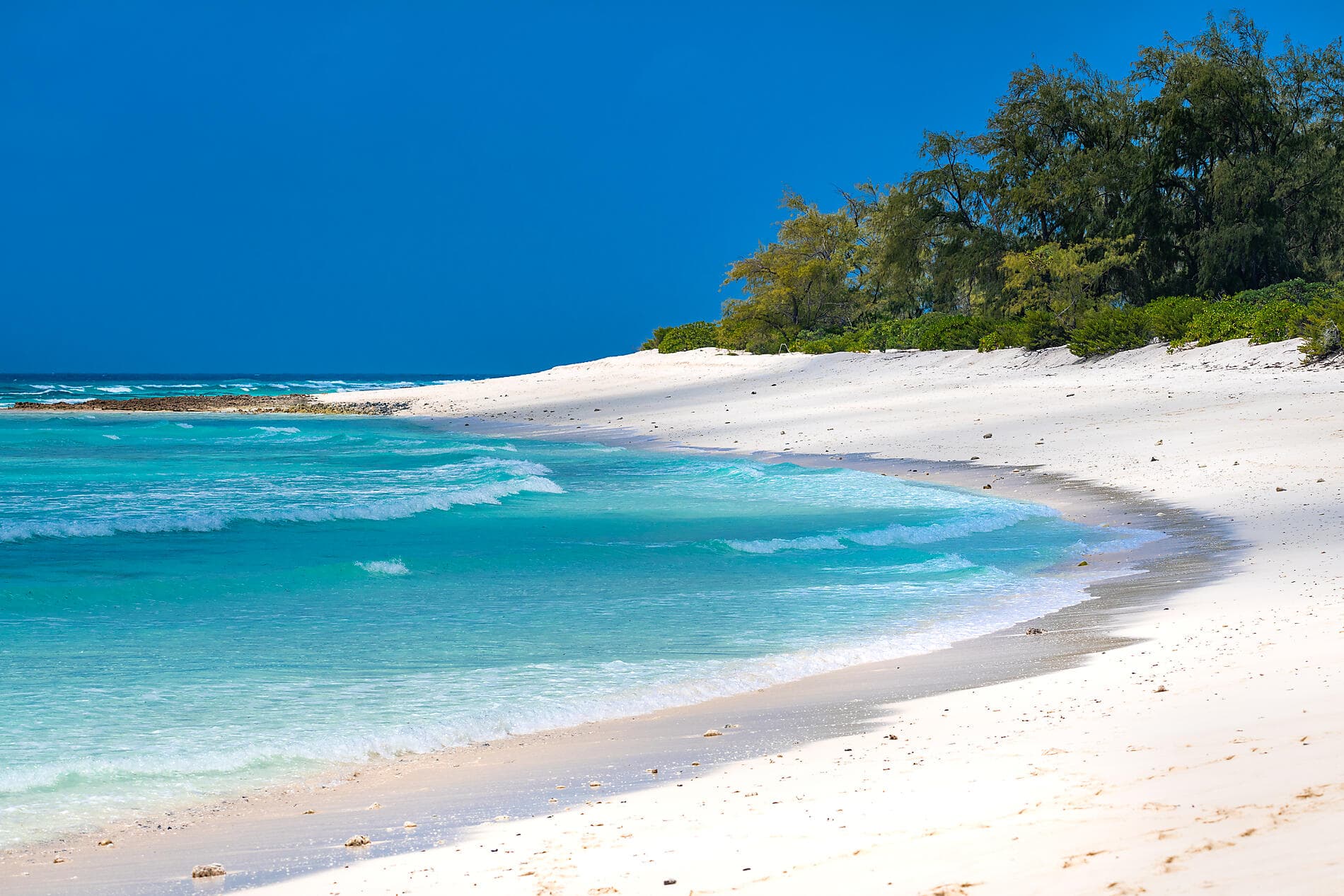 Von Madagaskar zu den Seychellen – unerwartete Inseln 