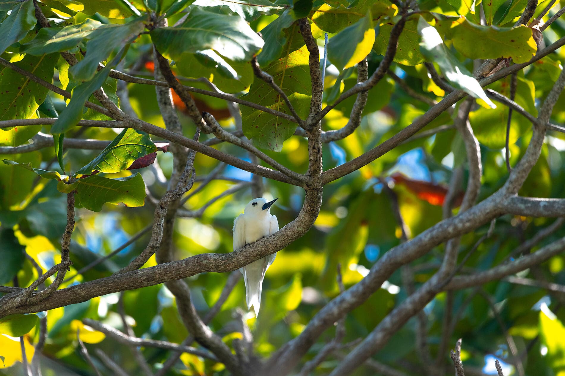 Von Madagaskar zu den Seychellen – unerwartete Inseln 