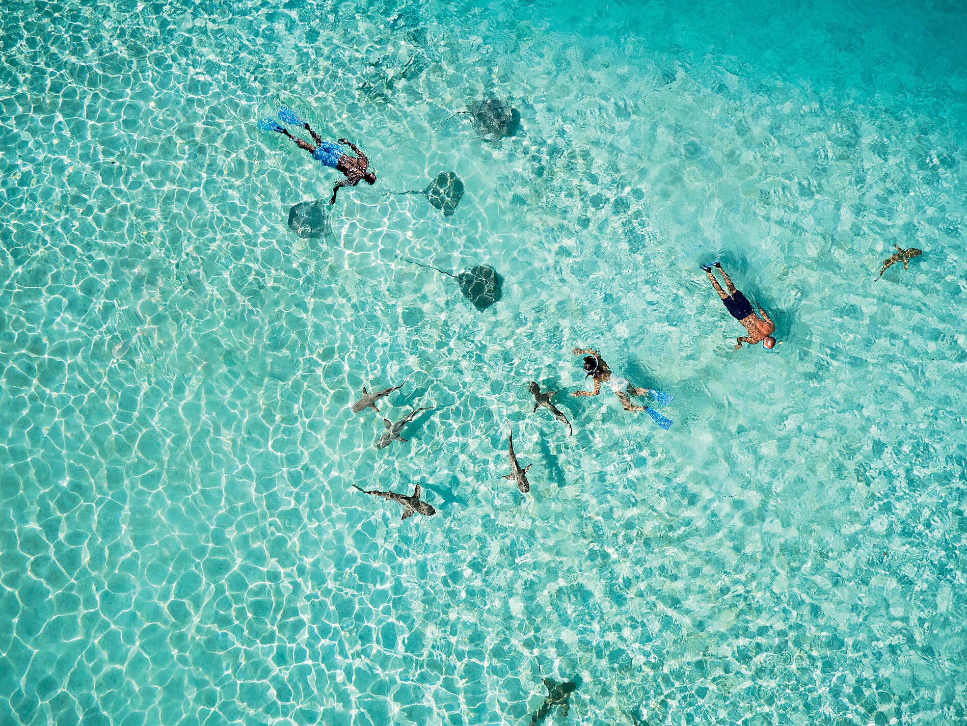 Unentdeckte Südsee: Tuamotu, Gambier- und Austral-Inseln