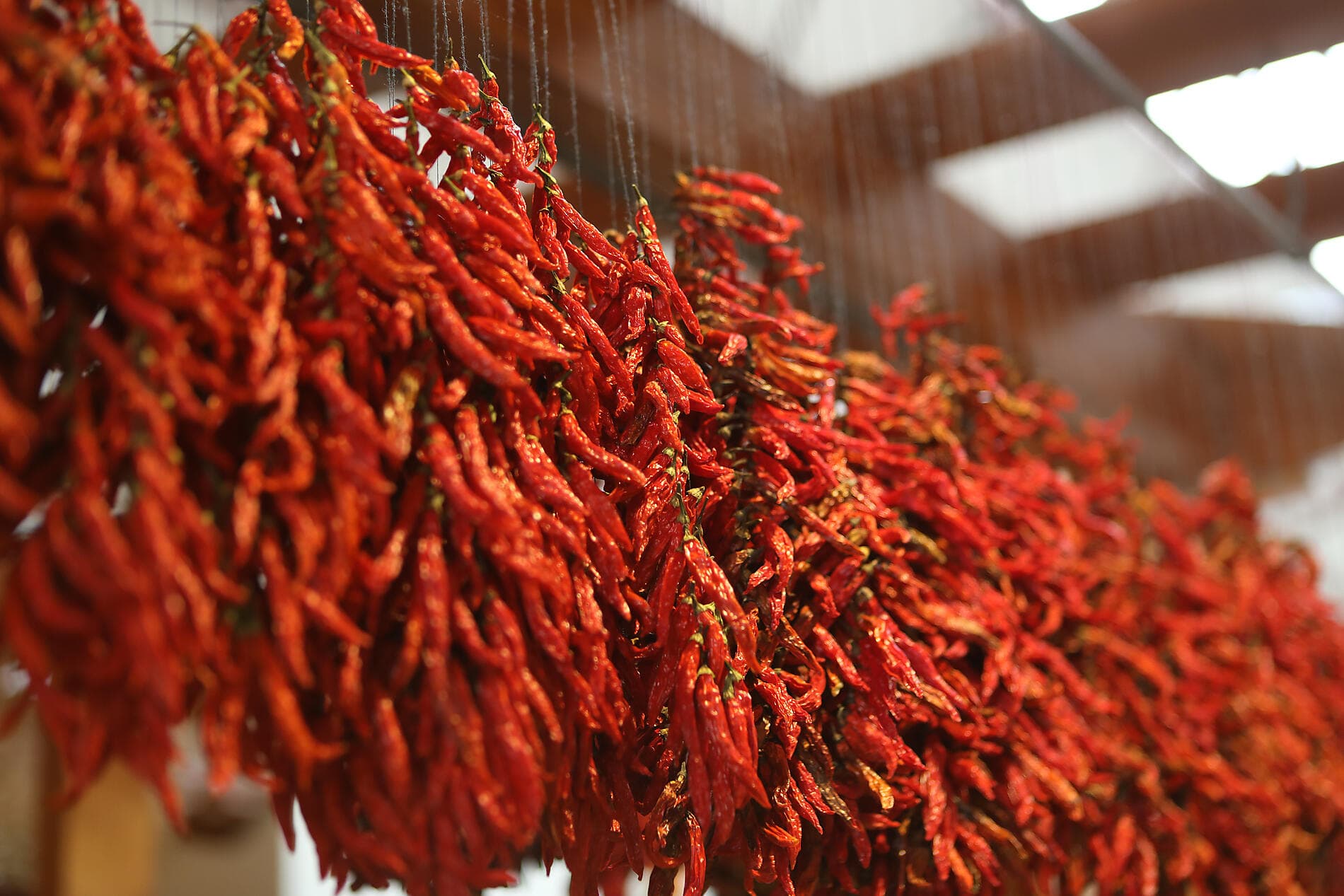 Musik-Kreuzfahrt von den Kanaren nach Málaga