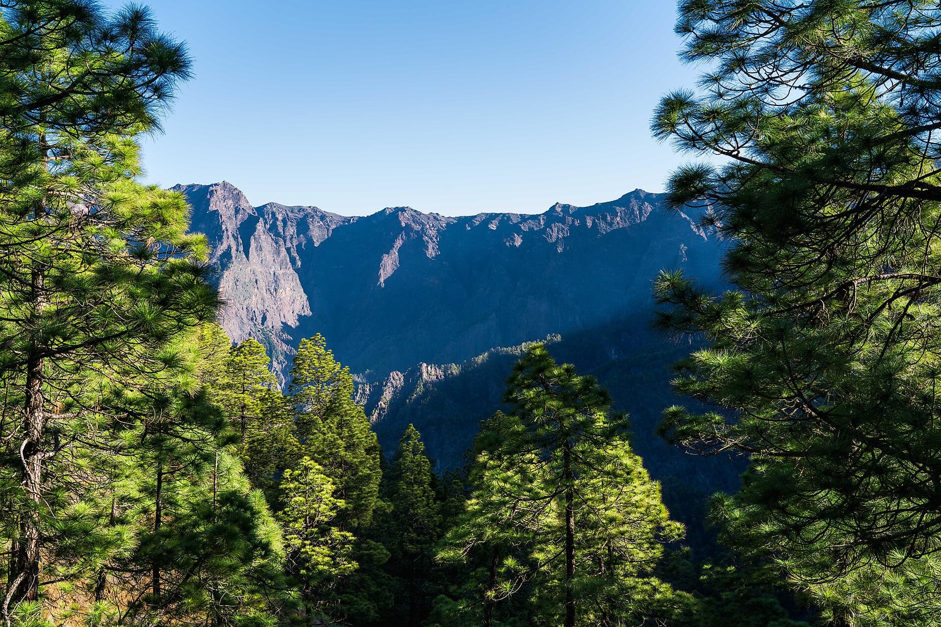Wunderschöne Kanarische Inseln und authentisches Madeira