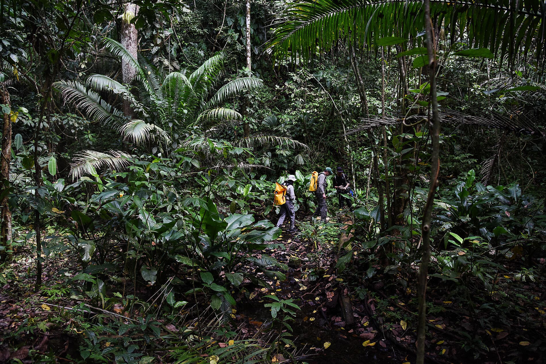 Geheimnisse Mittelamerikas 