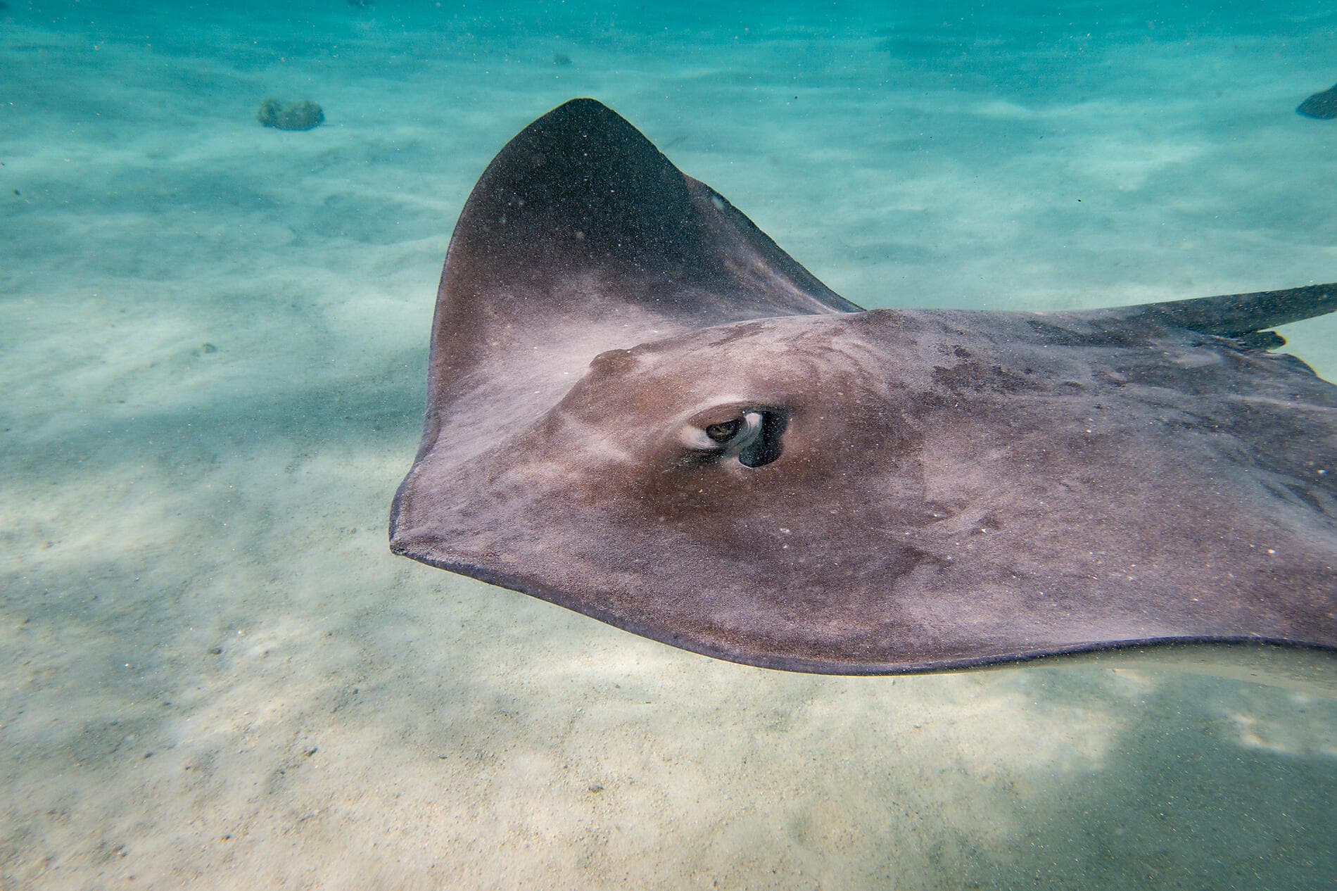 Südsee pur: Marquesas und Tuamotu 