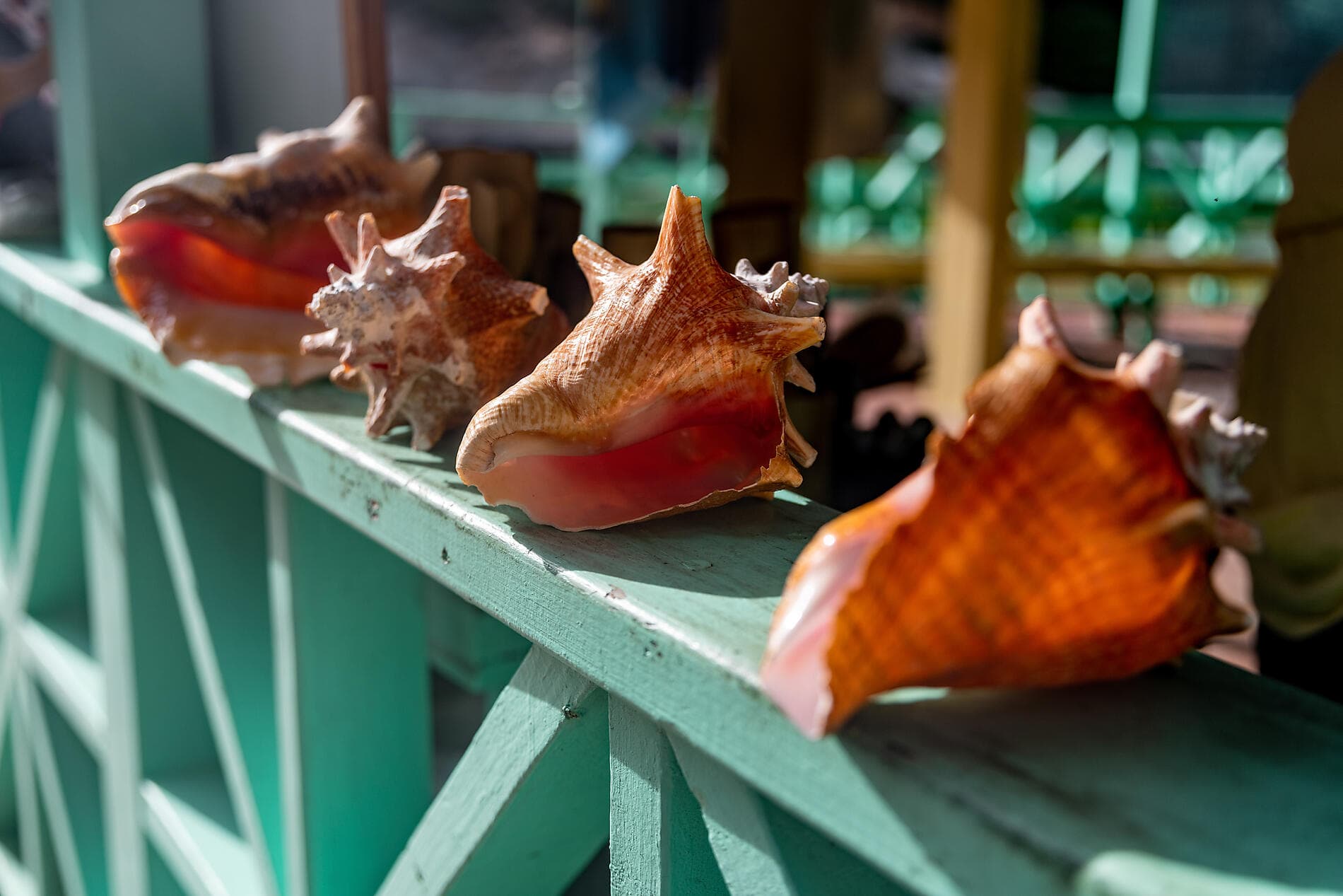 Verborgene Schätze der Kleinen Antillen