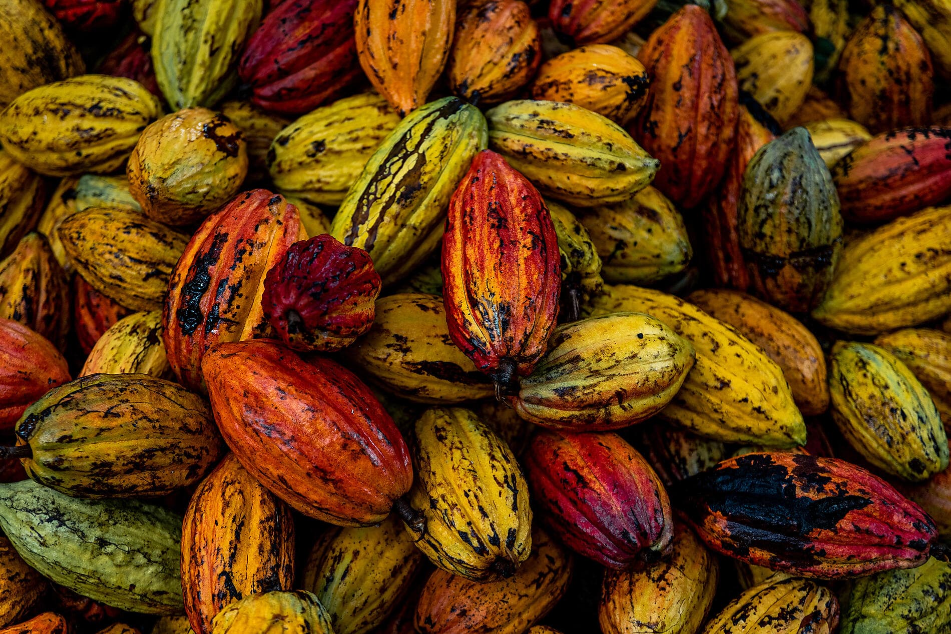 Verborgene Schätze der Kleinen Antillen