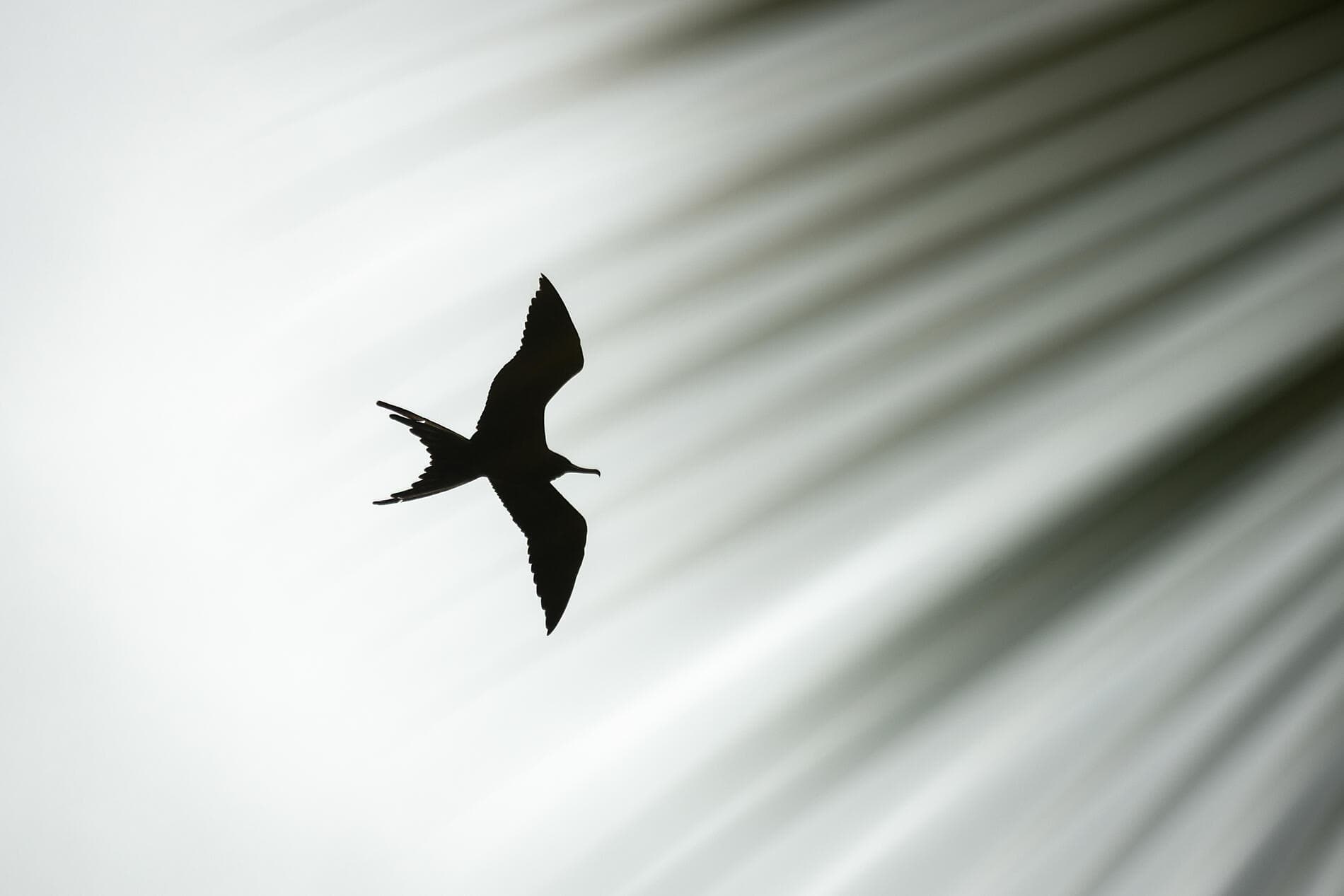 Panama, Kolumbien und karibische Inseln  