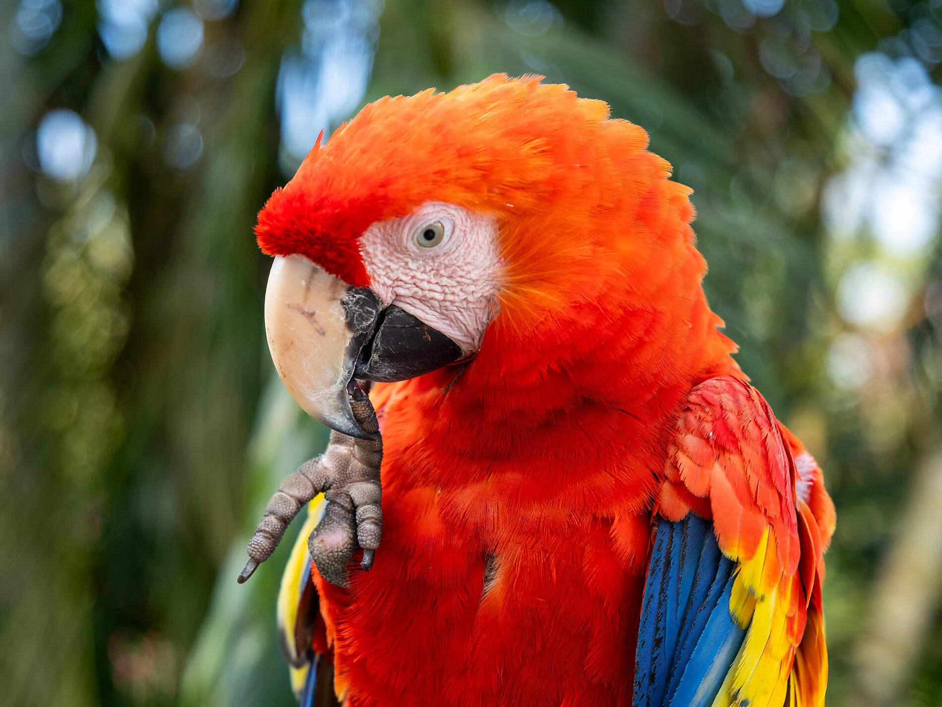 Panama, Kolumbien und karibische Inseln  