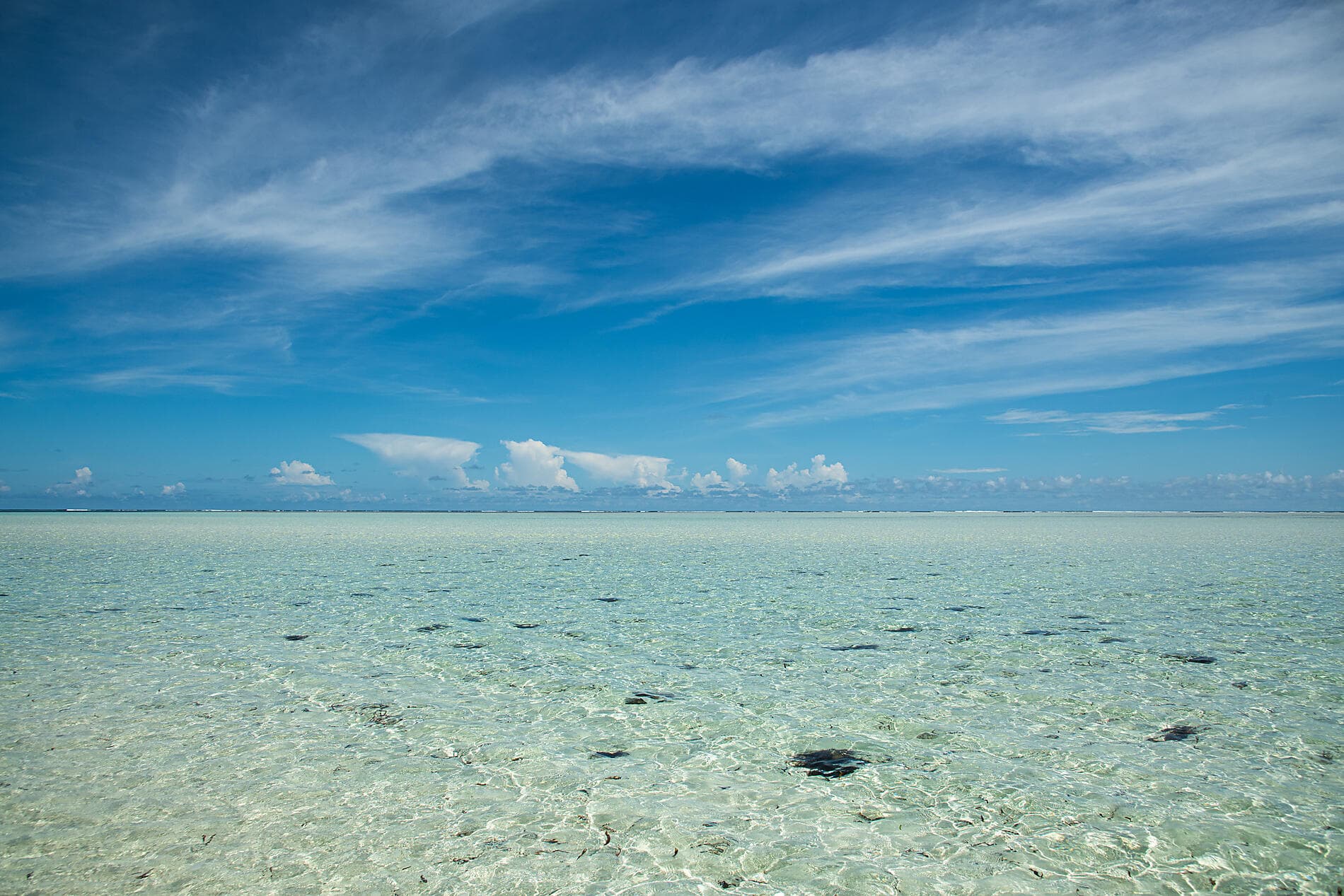 Madagaskar und Seychellen: Naturschätze des Indischen Ozeans – mit Smithsonian Journeys 