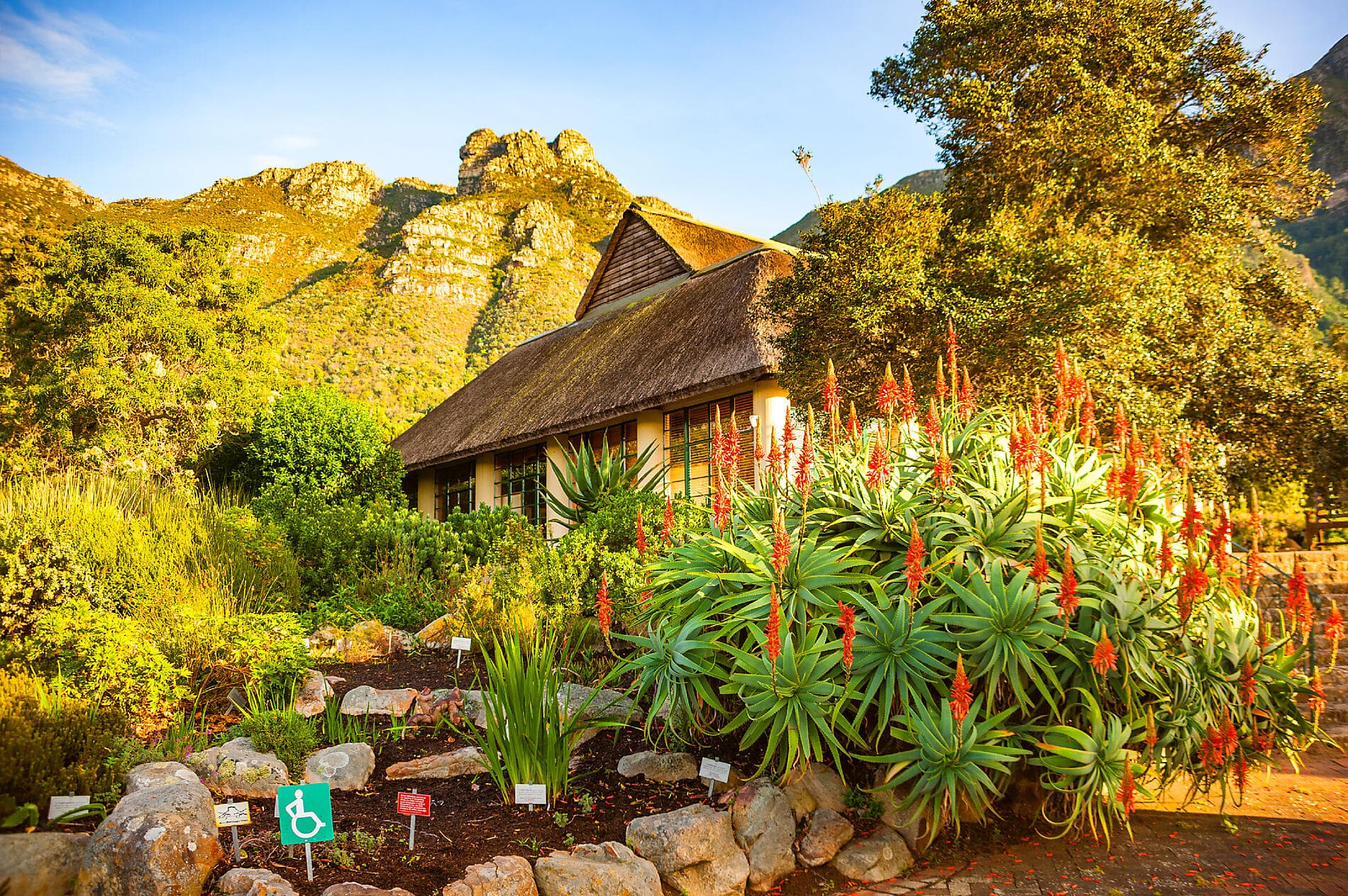 Südafrika und Namibia vom Meer aus: Rund um das Kap der Guten Hoffnung – mit Smithsonian Journeys 