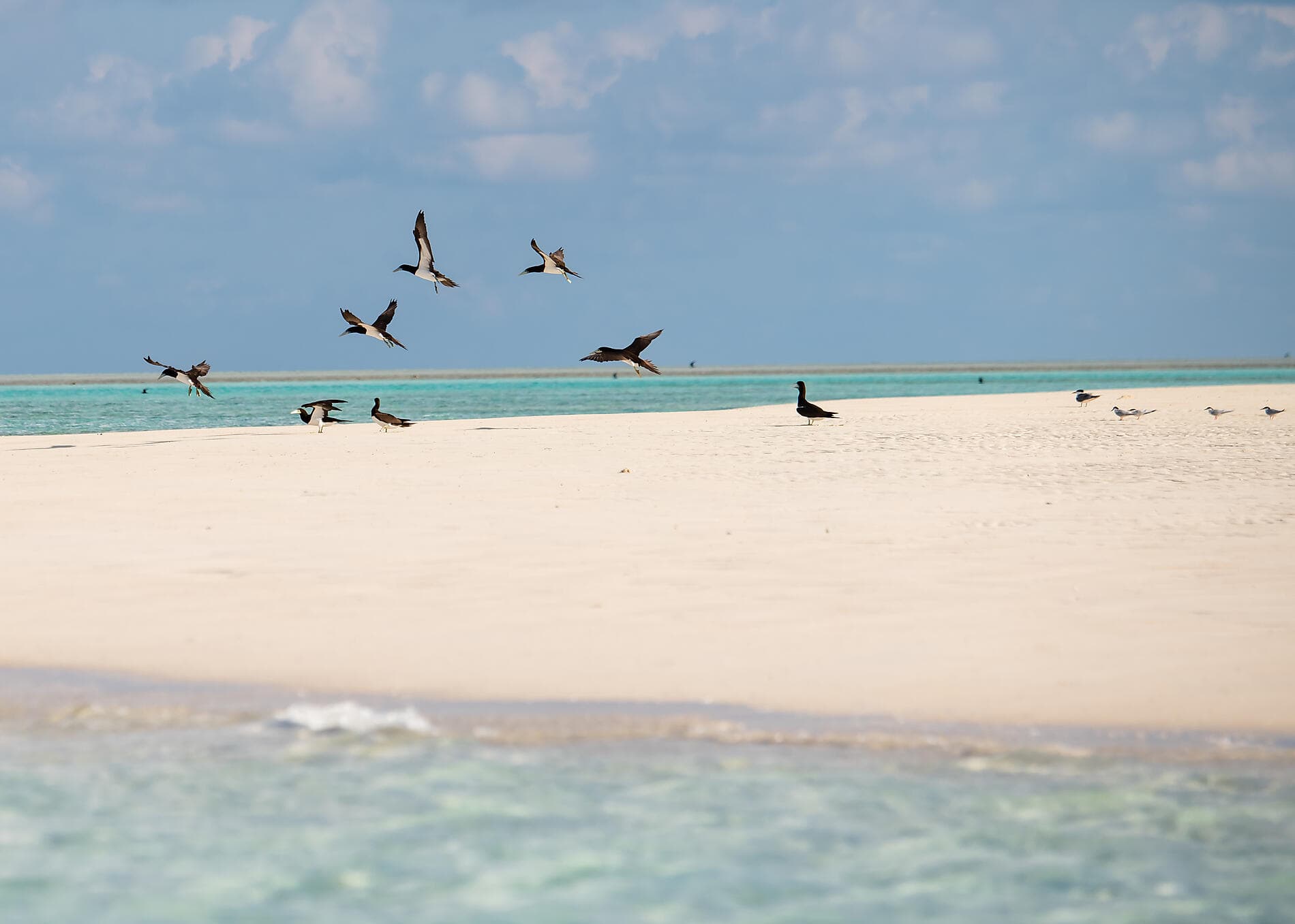 Sonnenfinsternis über Westaustralien: Entlang der Kimberley-Küste – mit Smithsonian Journeys   