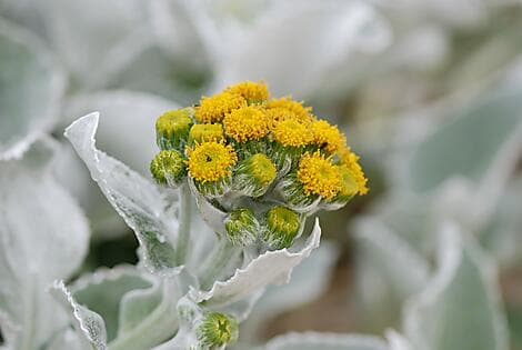 17. Feb 27 - Grave Cove