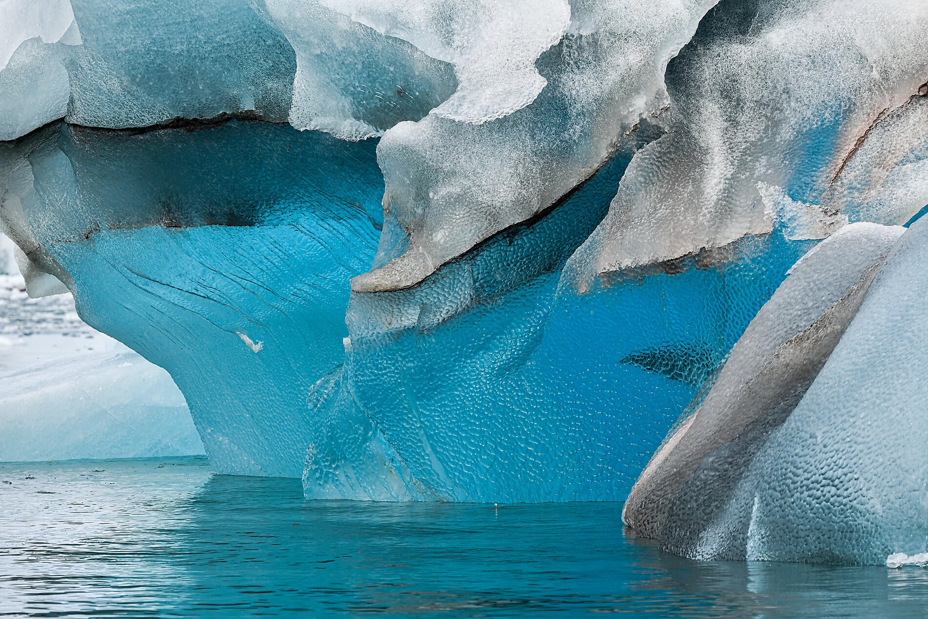 N¯0130_Studio PONANT_Morgane Monneret.jpg