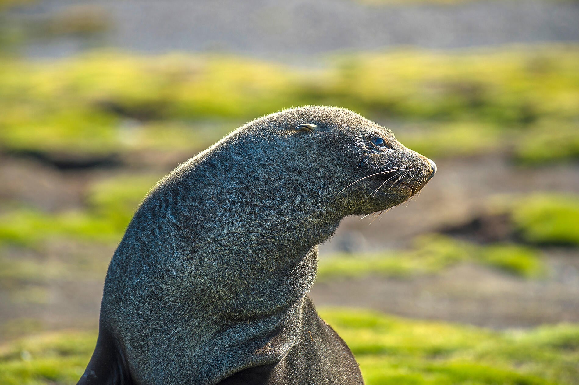 No-1707_Laurence Fisher.jpg