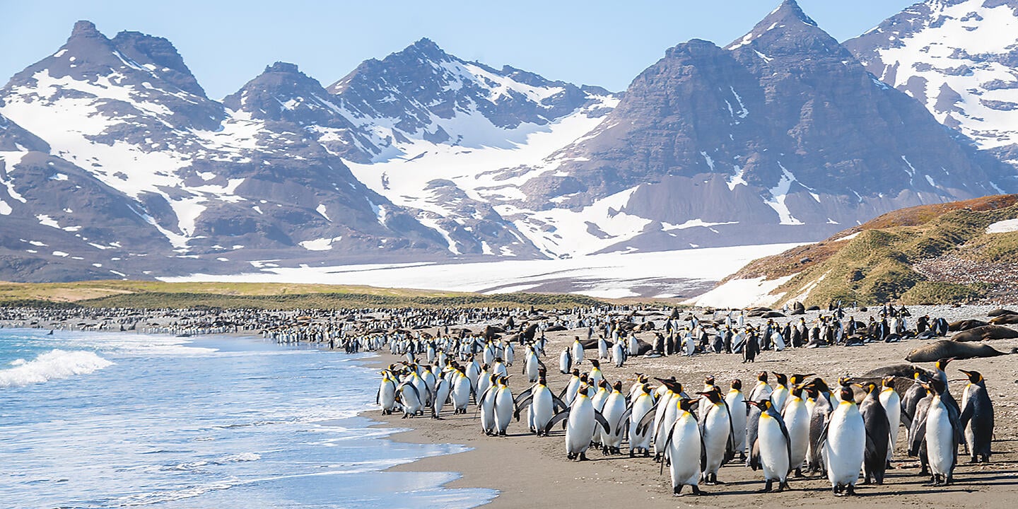 Antarktis, Falklandinseln & Südgeorgien Antarktis, Falklandinseln & Südgeorgien