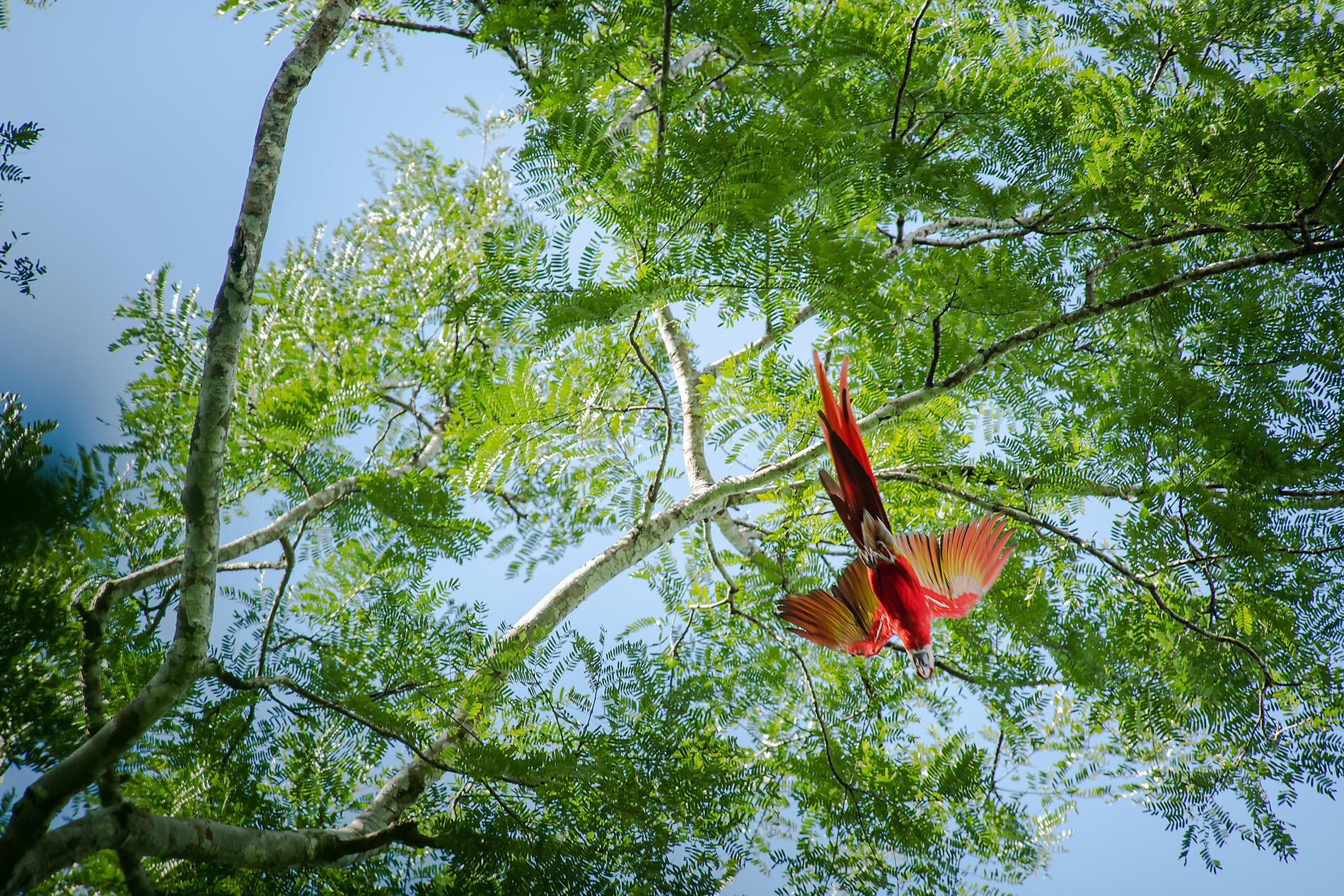 Die Pazifikküste von Costa Rica Die Pazifikküste von Costa Rica