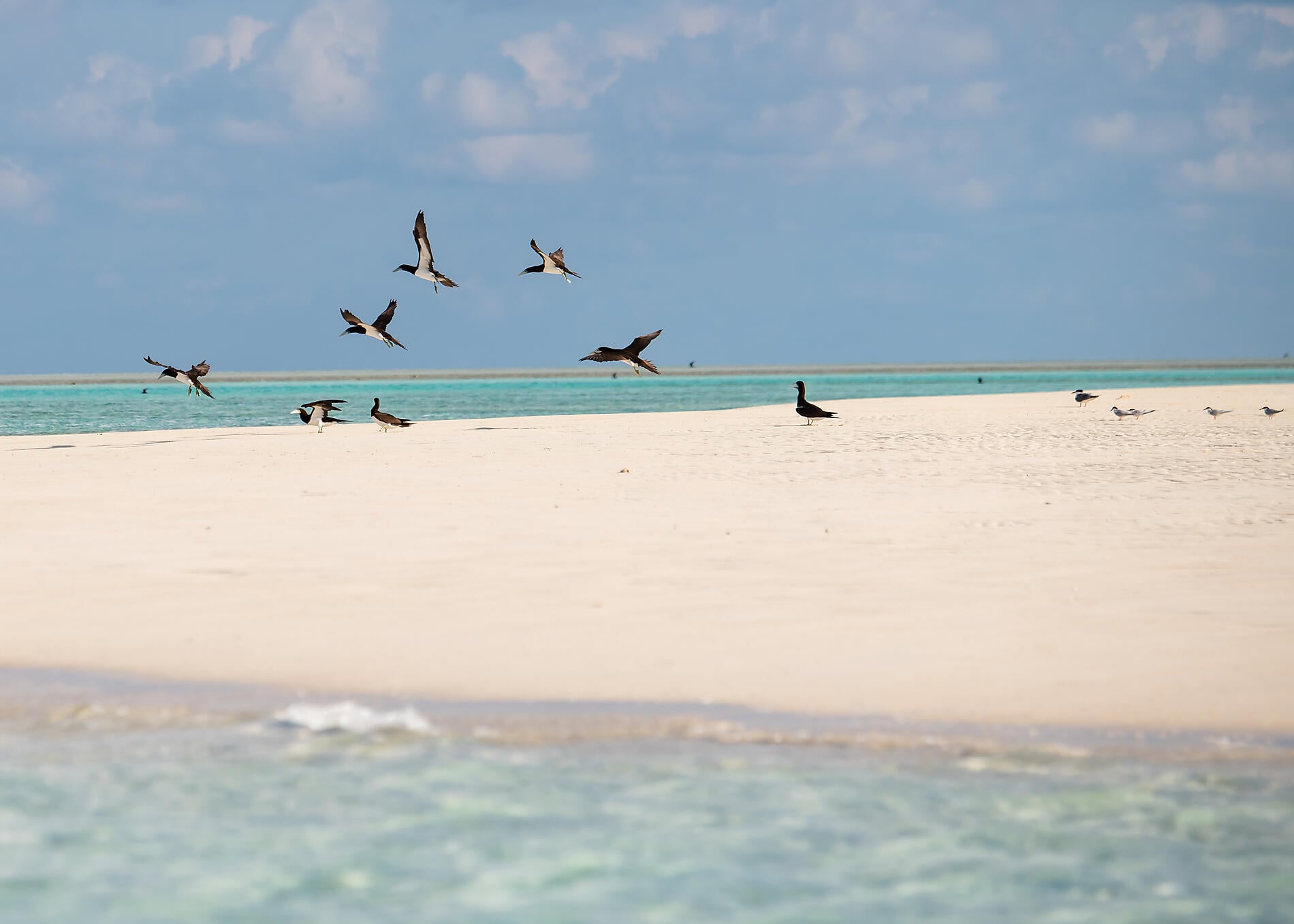 Unentdeckte Schätze Australiens Unentdeckte Schätze Australiens