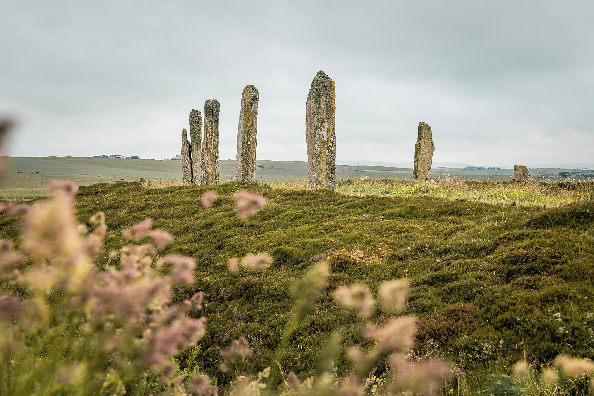 Vom arktischen Polarkreis zu den Inseln Schottlands