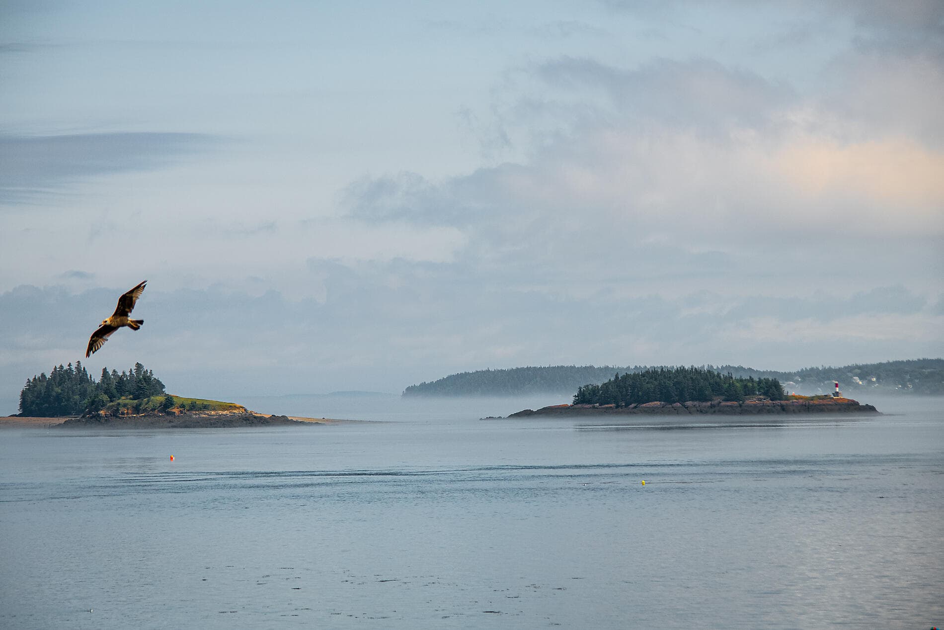 Historische nordamerikanische Küsten