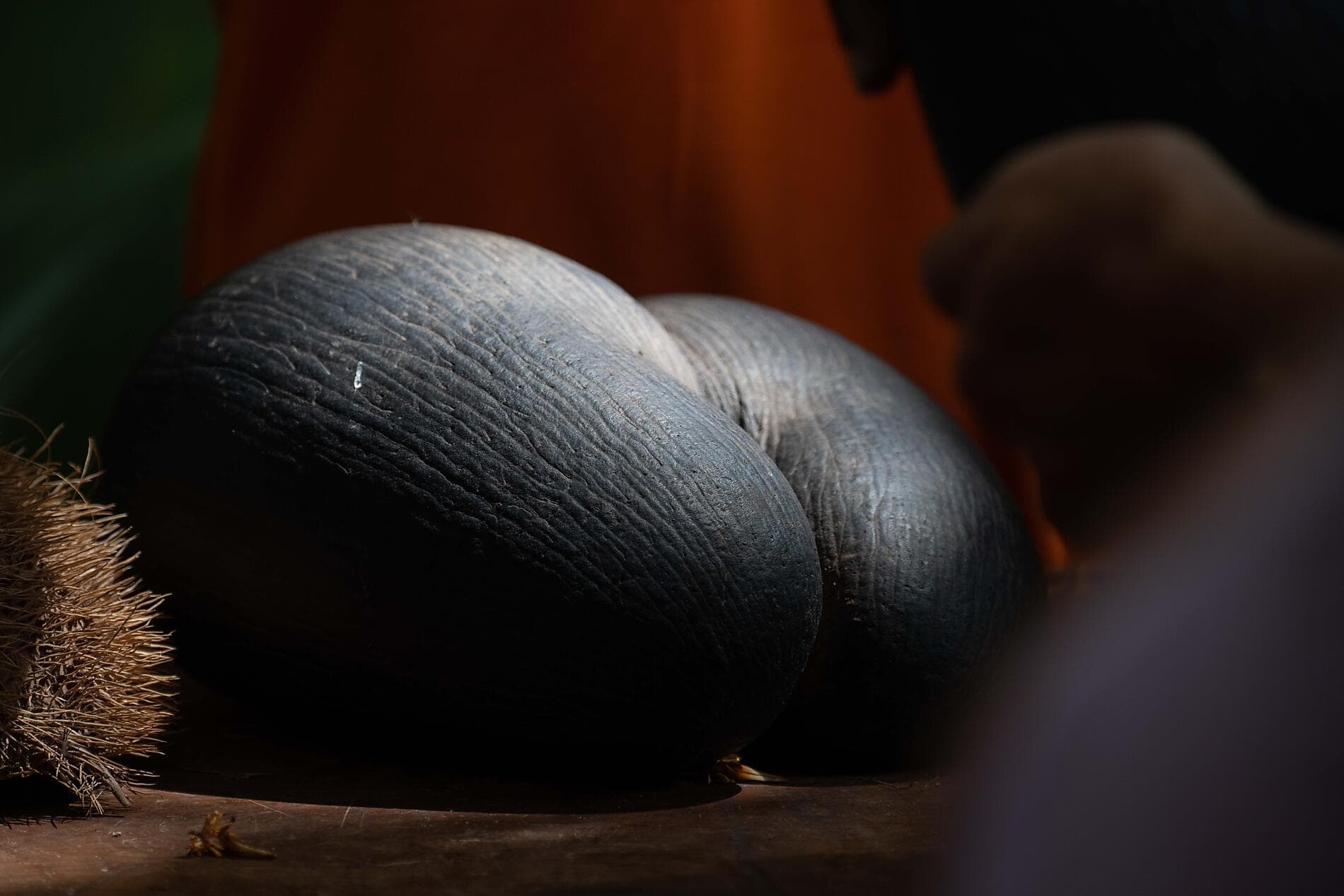 Highlights der Seychellen