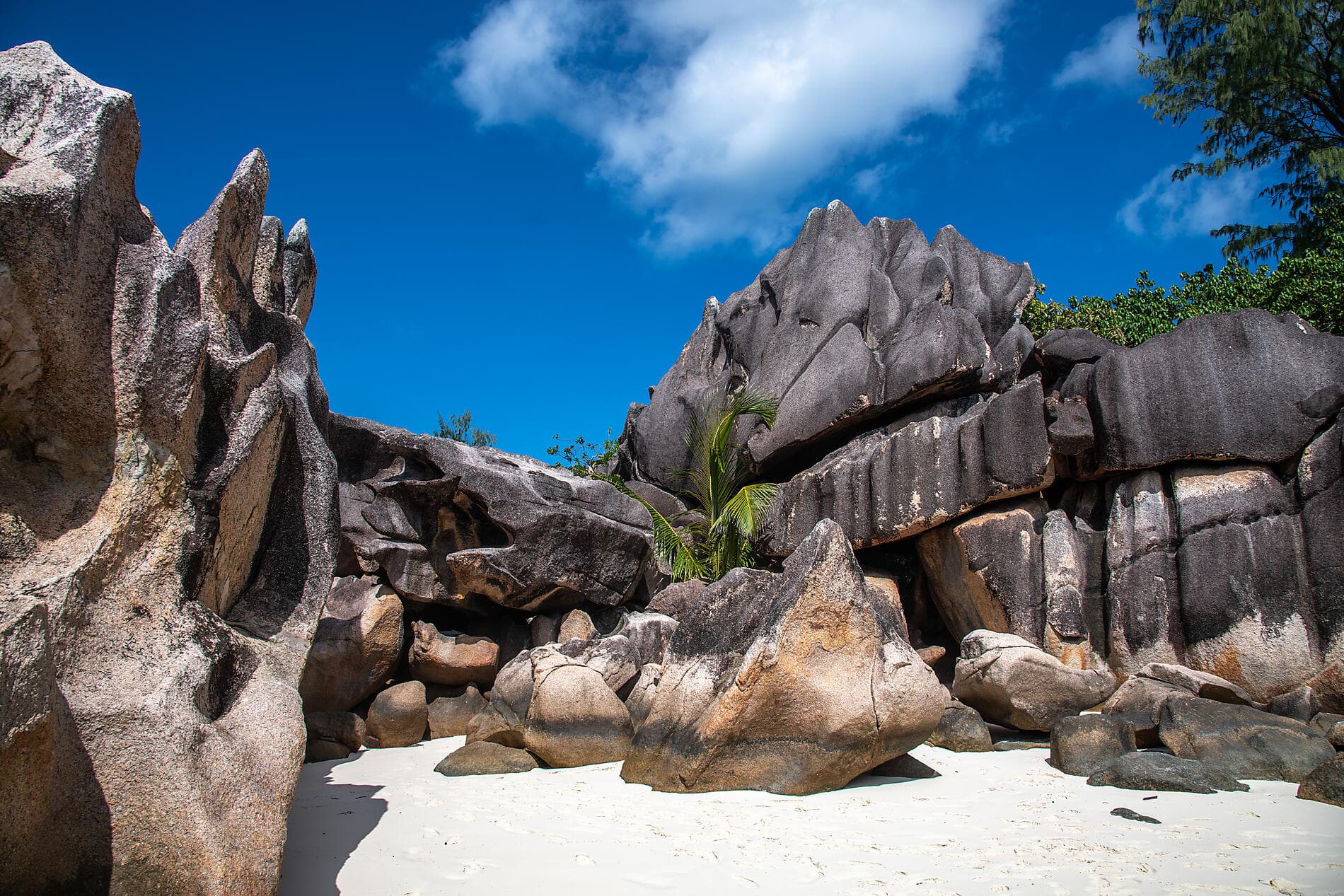 Highlights der Seychellen