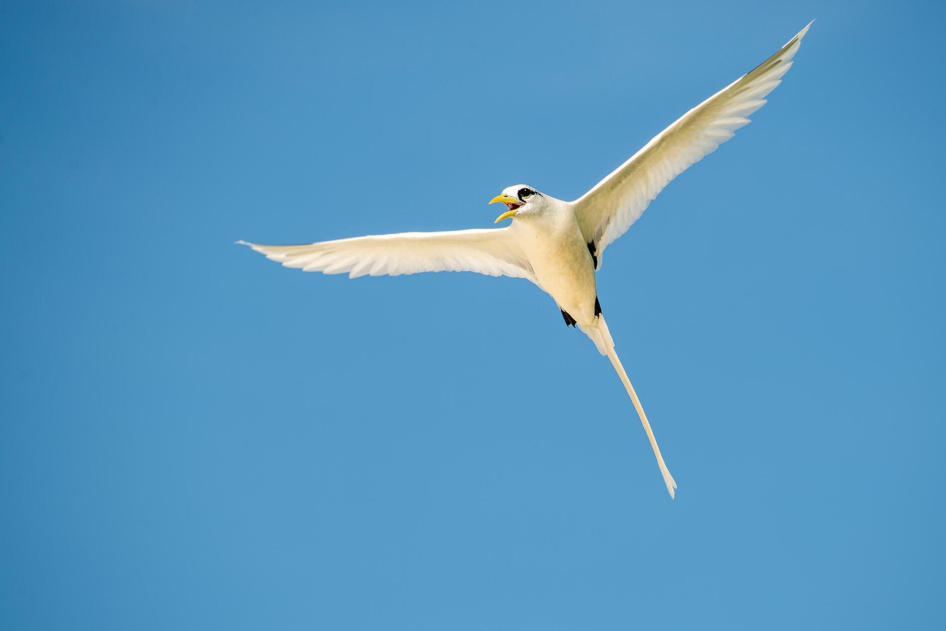 Highlights der Seychellen