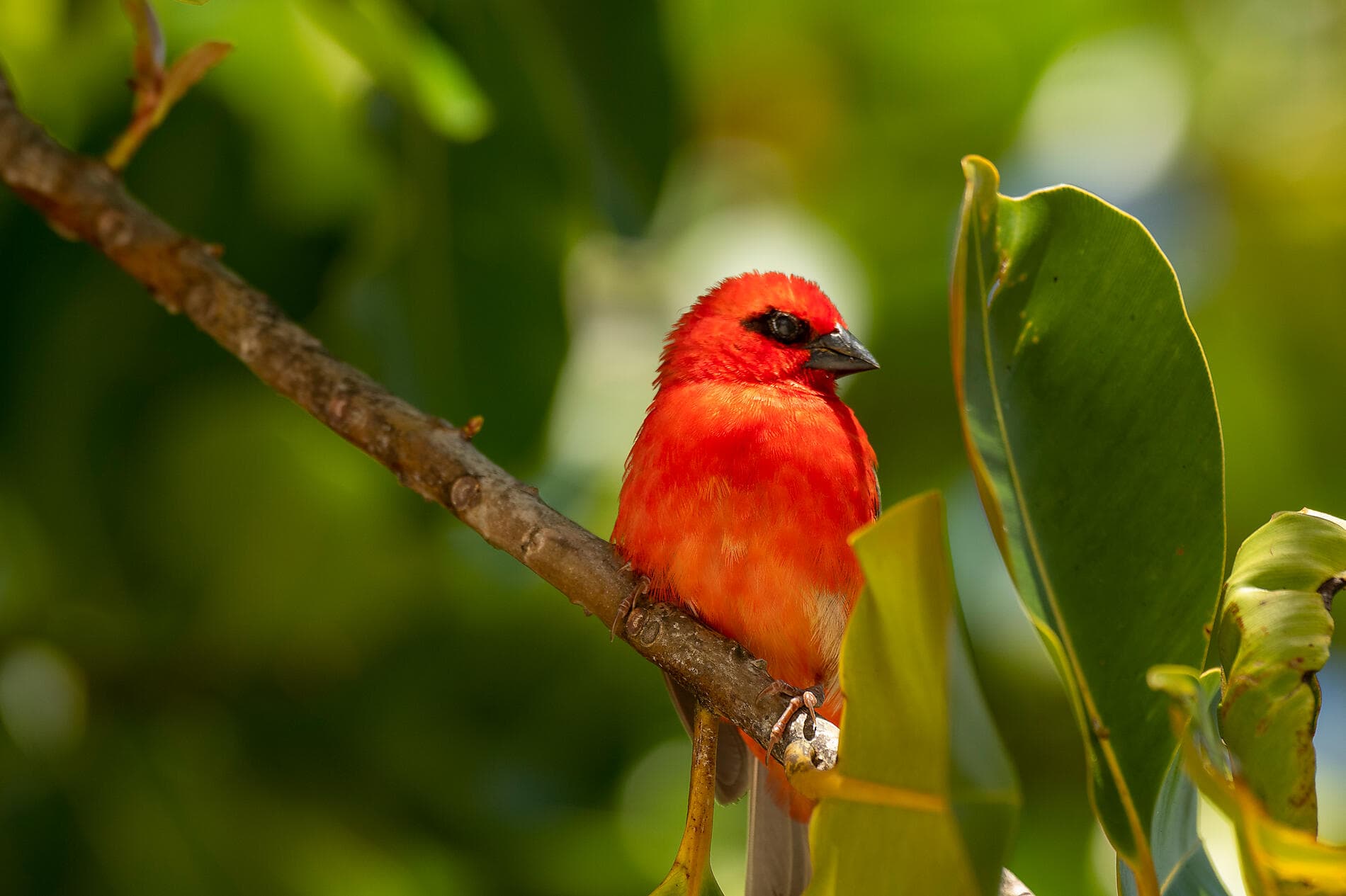 Highlights der Seychellen