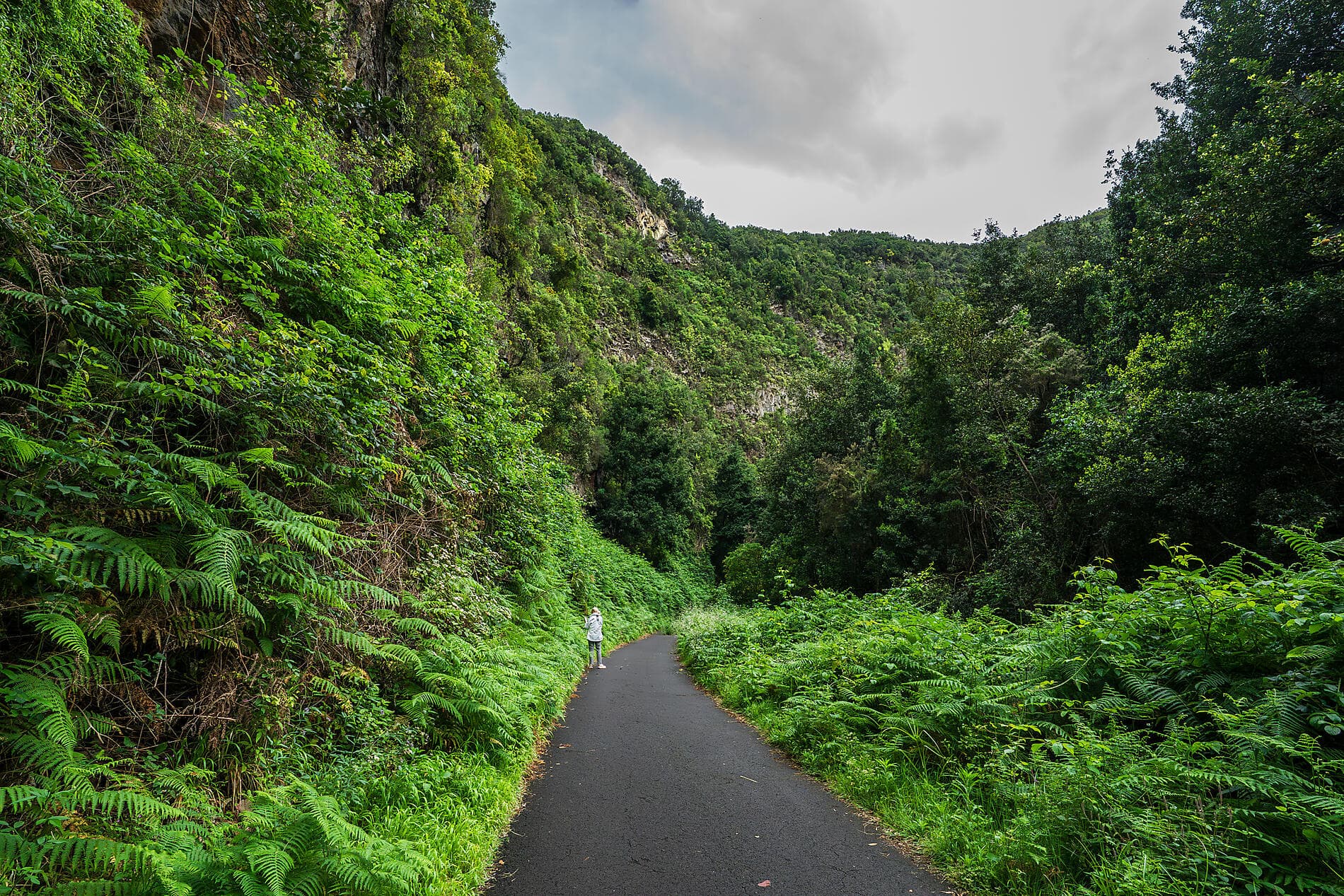 Wunderschöne Kanarische Inseln und authentisches Madeira